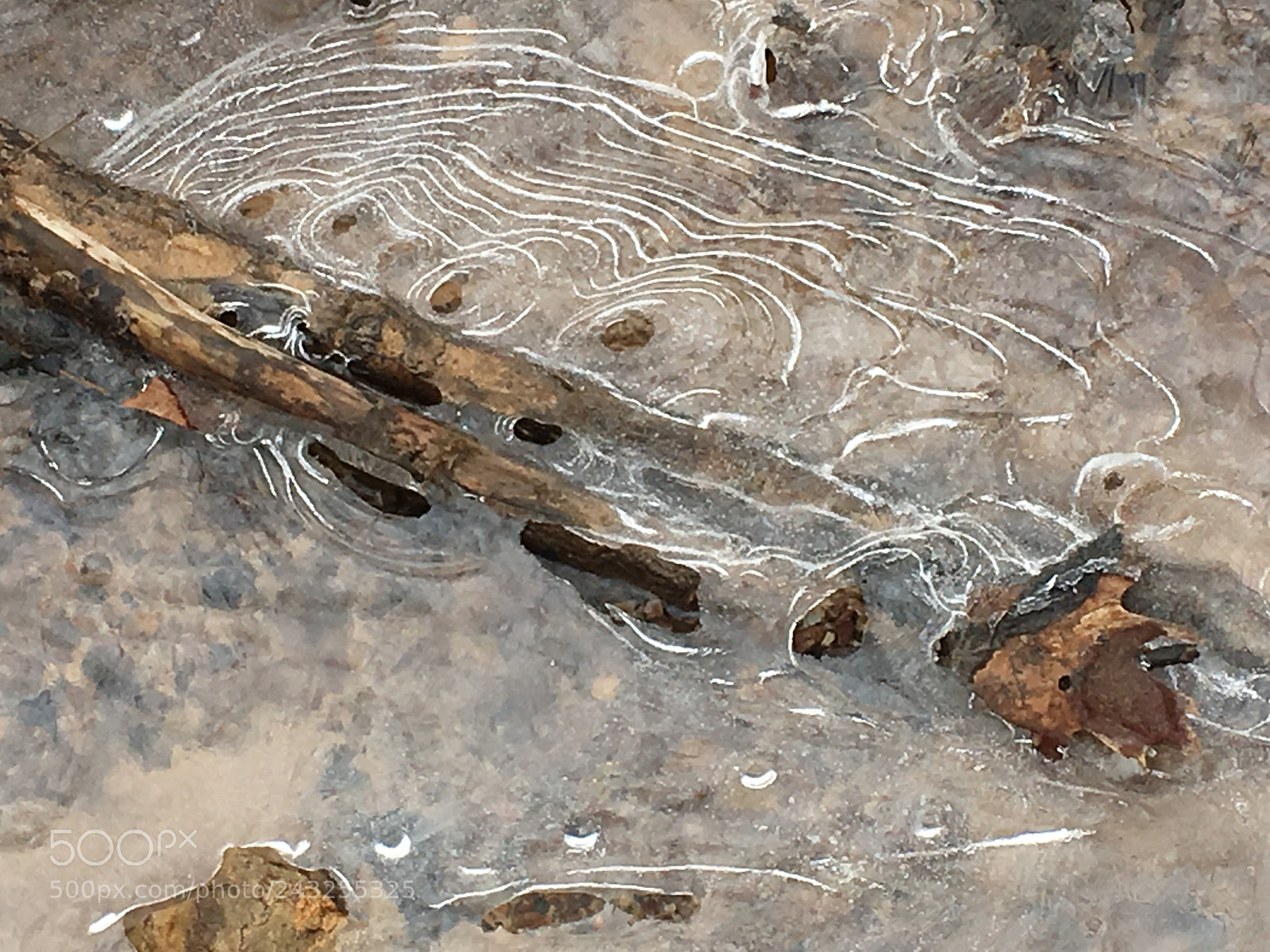 Apple iPhone 6s sample photo. Ice art 1 photography