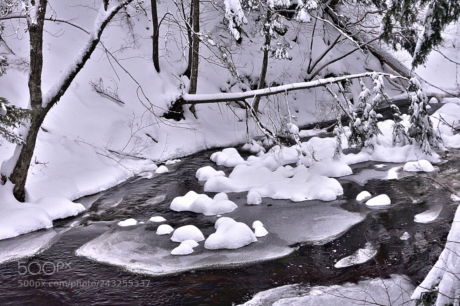 Nikon 1 J5 sample photo. Stoney brook in winter photography