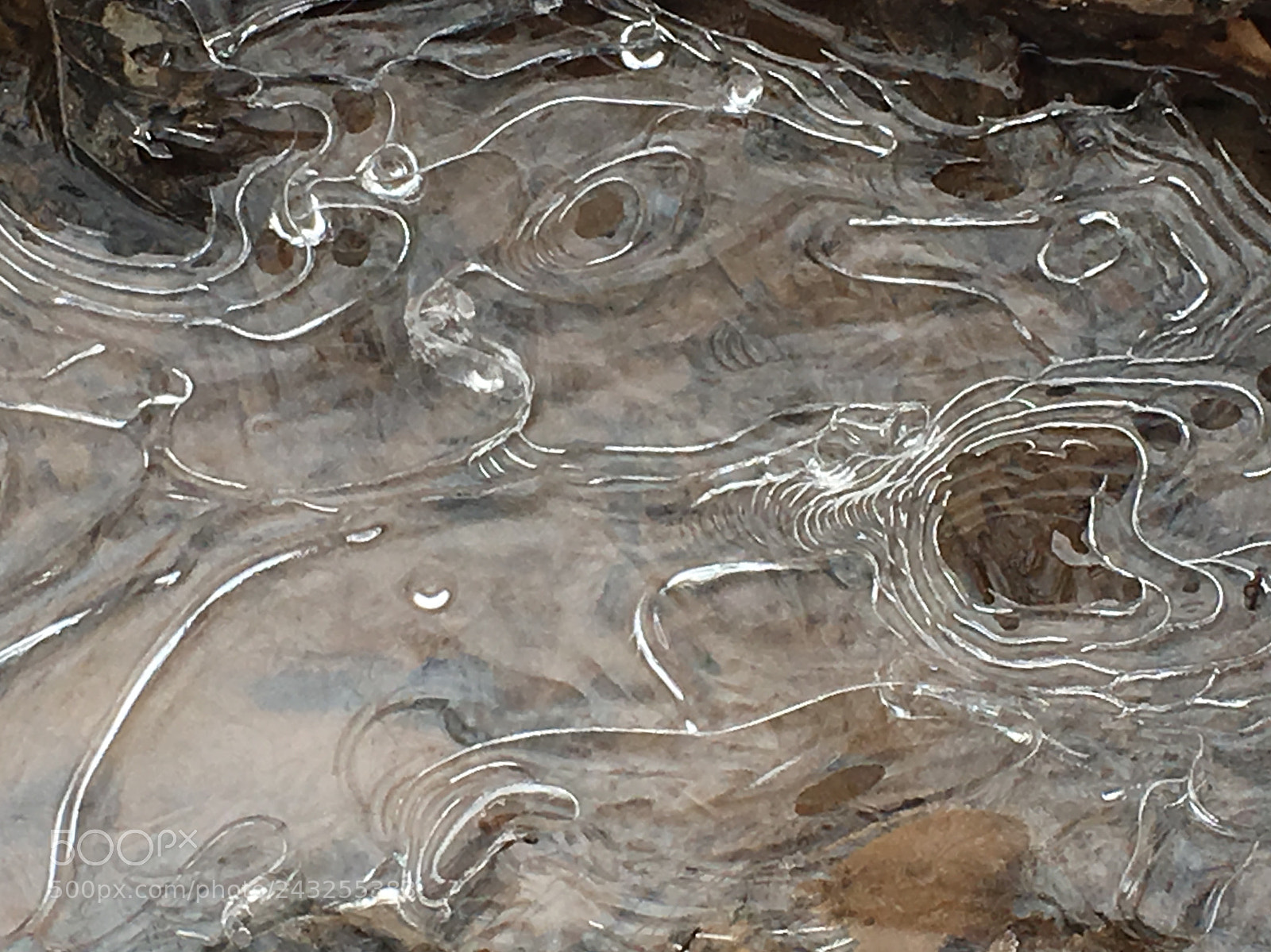 Apple iPhone 6s sample photo. Ice art 2 photography