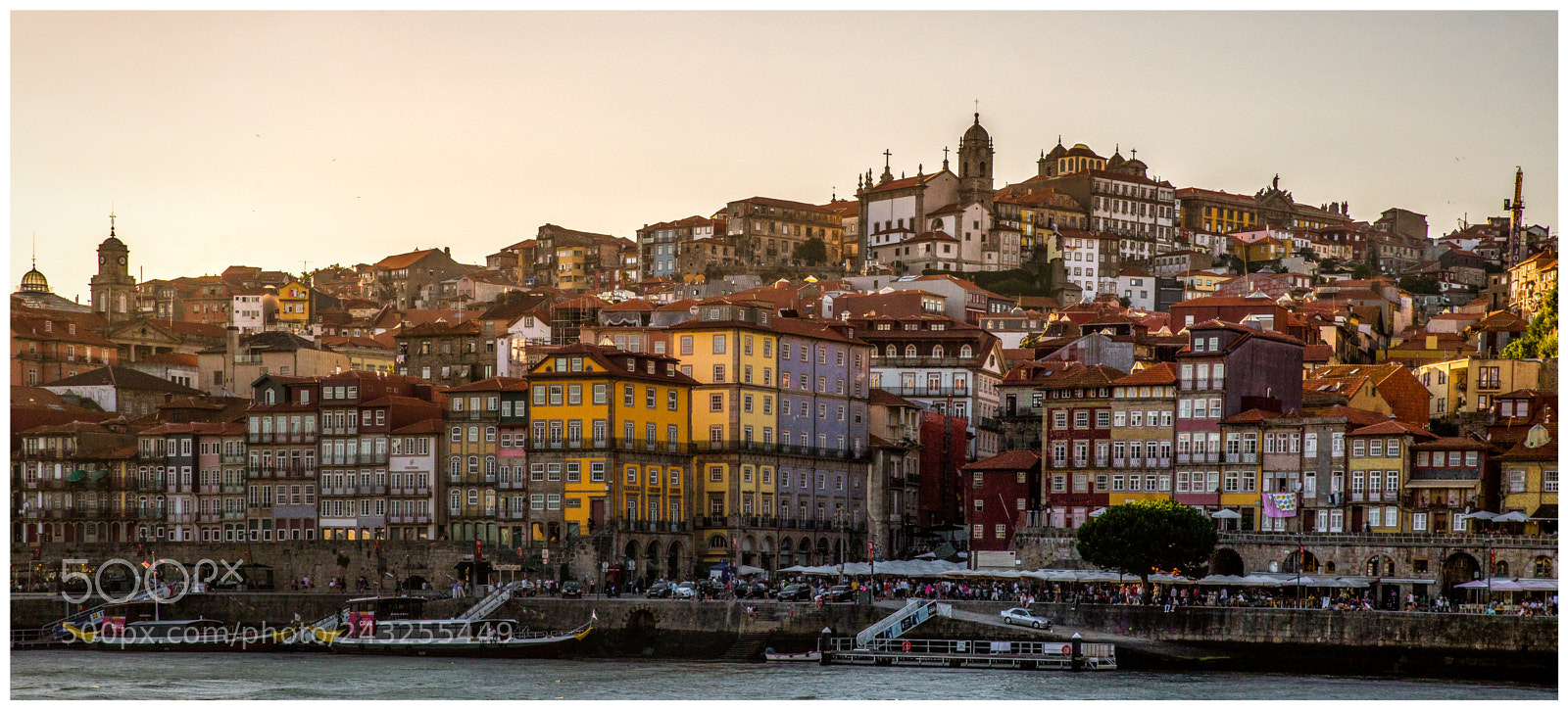 Nikon D610 sample photo. Porto photography
