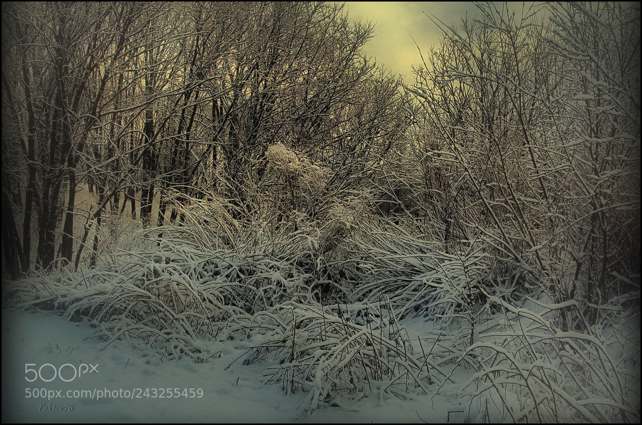 Sony Cyber-shot DSC-H10 sample photo. Outfits winter  ✔ photography