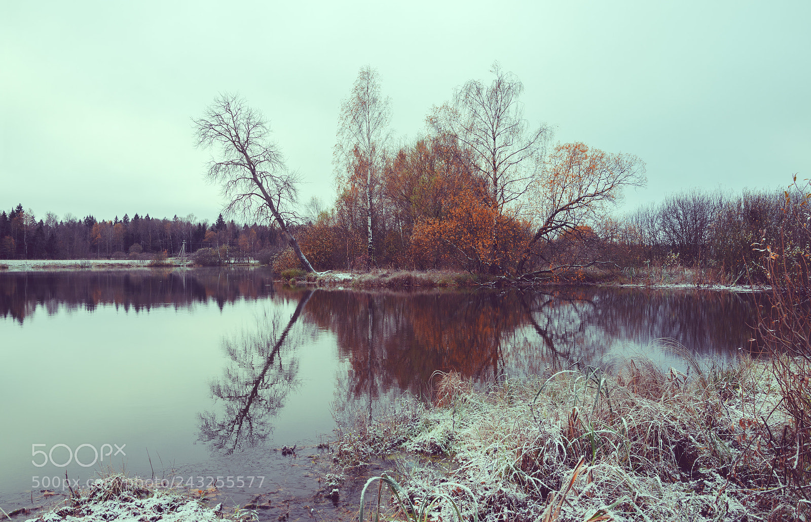 Nikon D5100 sample photo. Autumn scene photography