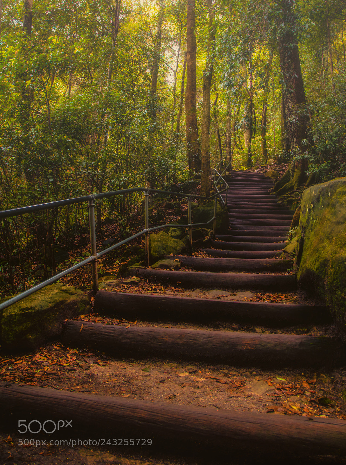 Canon EOS 5DS R sample photo. Path to glory photography