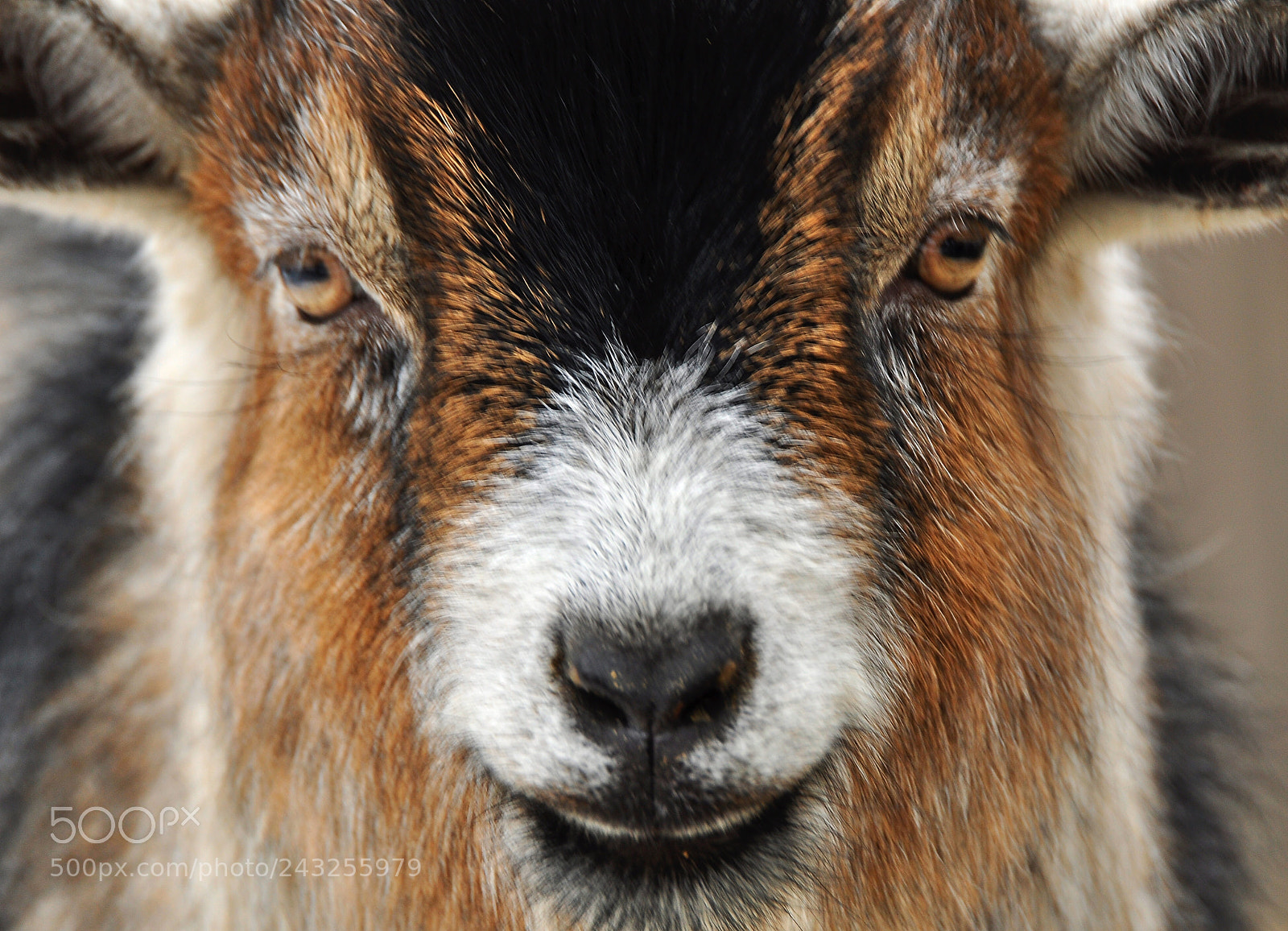 Nikon D90 sample photo. Farm photography