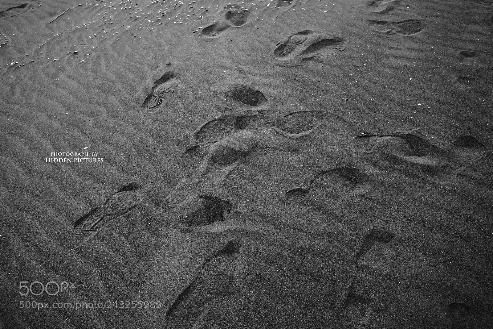 Fujifilm X-T2 sample photo. Untitled photography