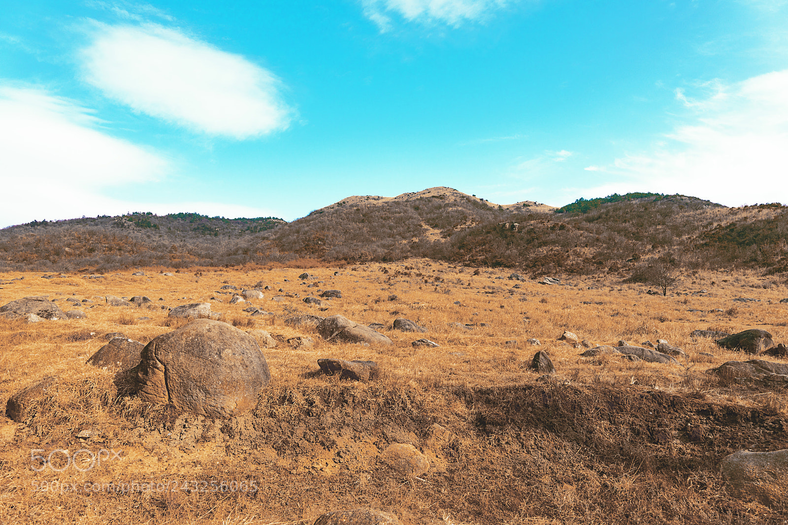 Sony a7R II sample photo. How i wanna meet photography