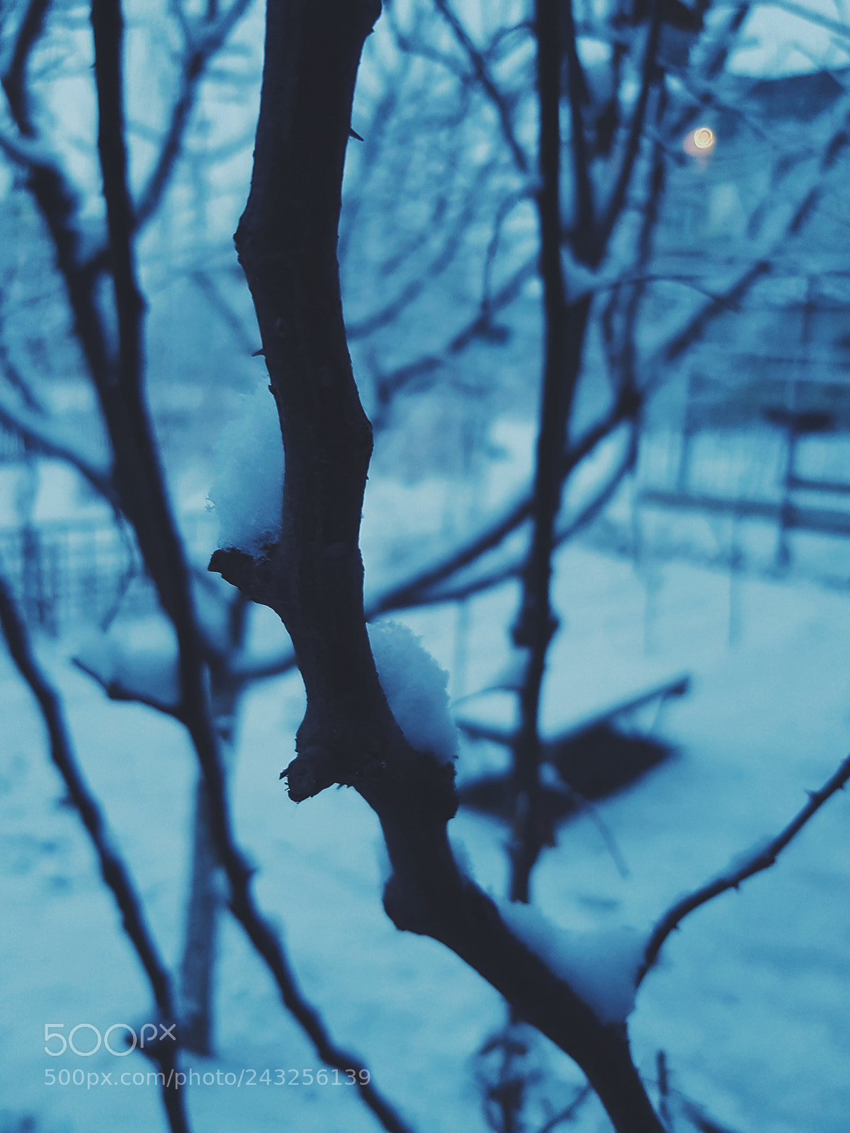 Samsung Galaxy S7 Edge sample photo. The way it snowed photography