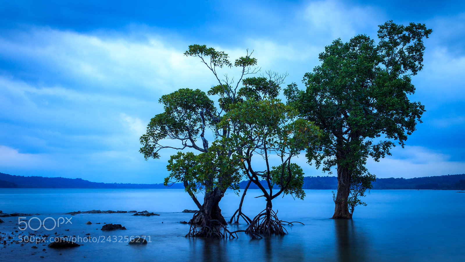 Canon EOS 1100D (EOS Rebel T3 / EOS Kiss X50) sample photo. Chidiya tapu - landscape photography