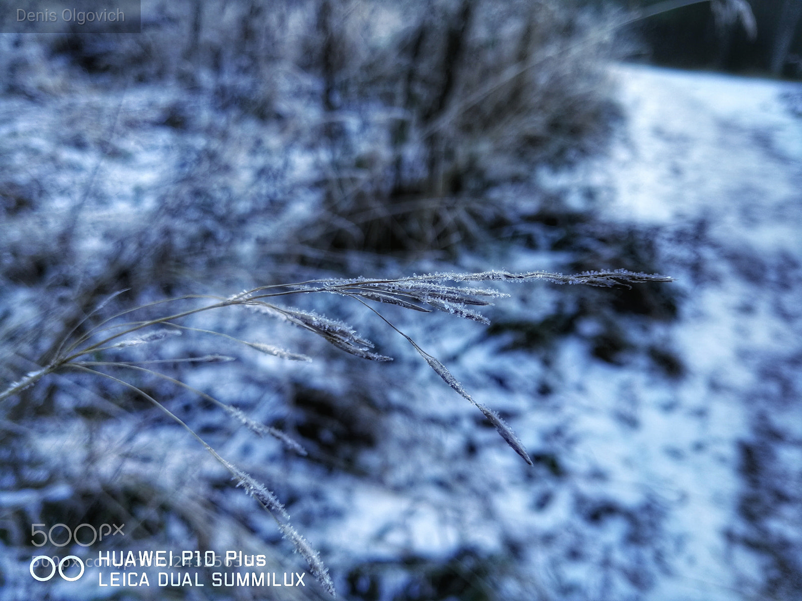HUAWEI P10 Plus sample photo. Untitled photography