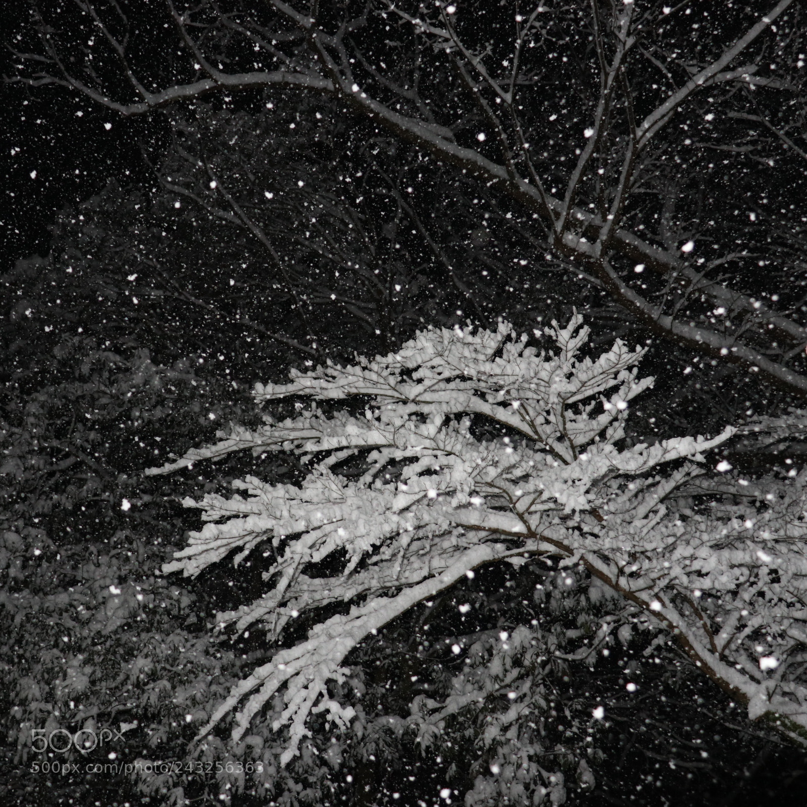 Canon EOS M6 sample photo. Snow photography