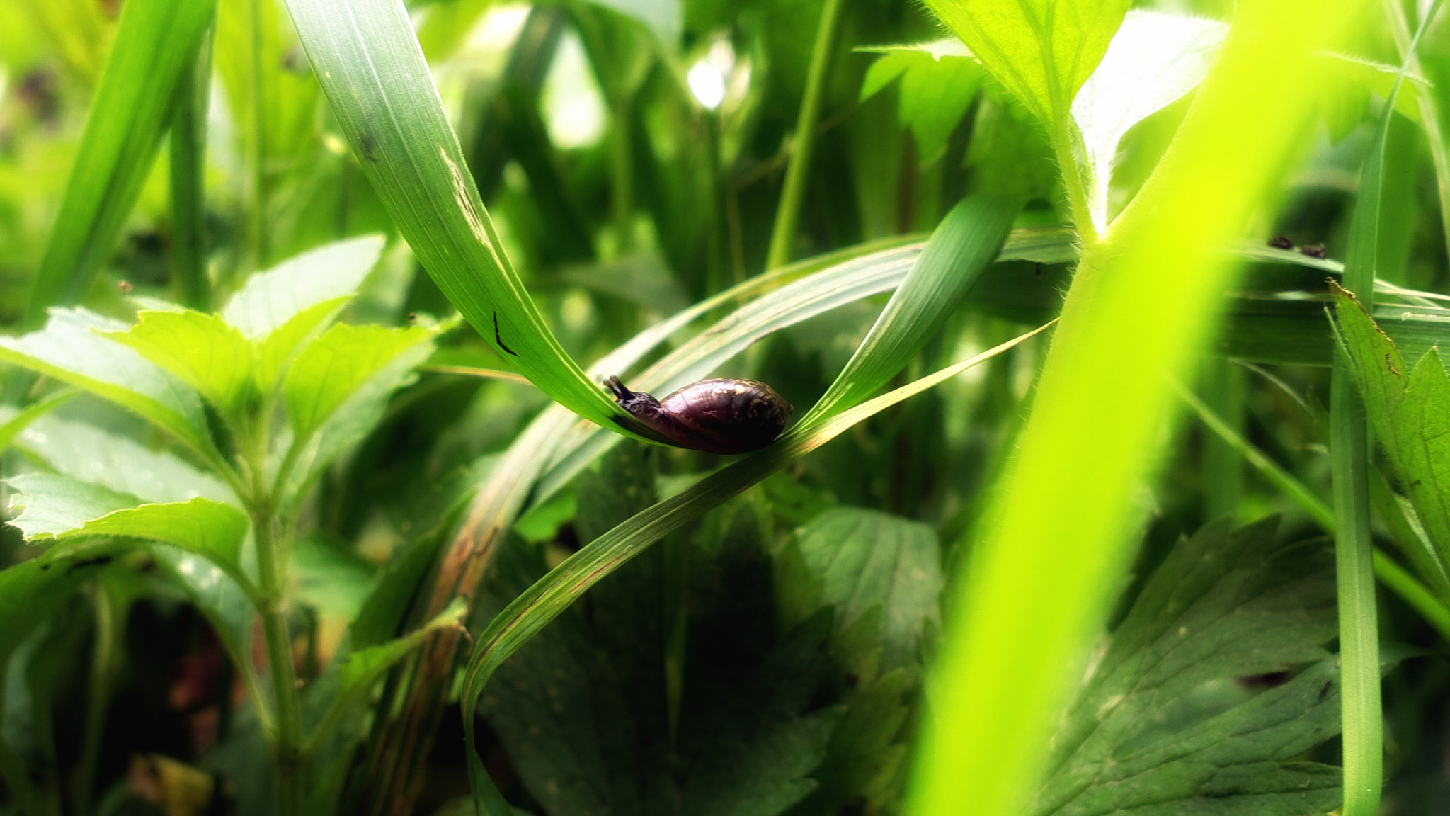 Nokia 808 PureView sample photo