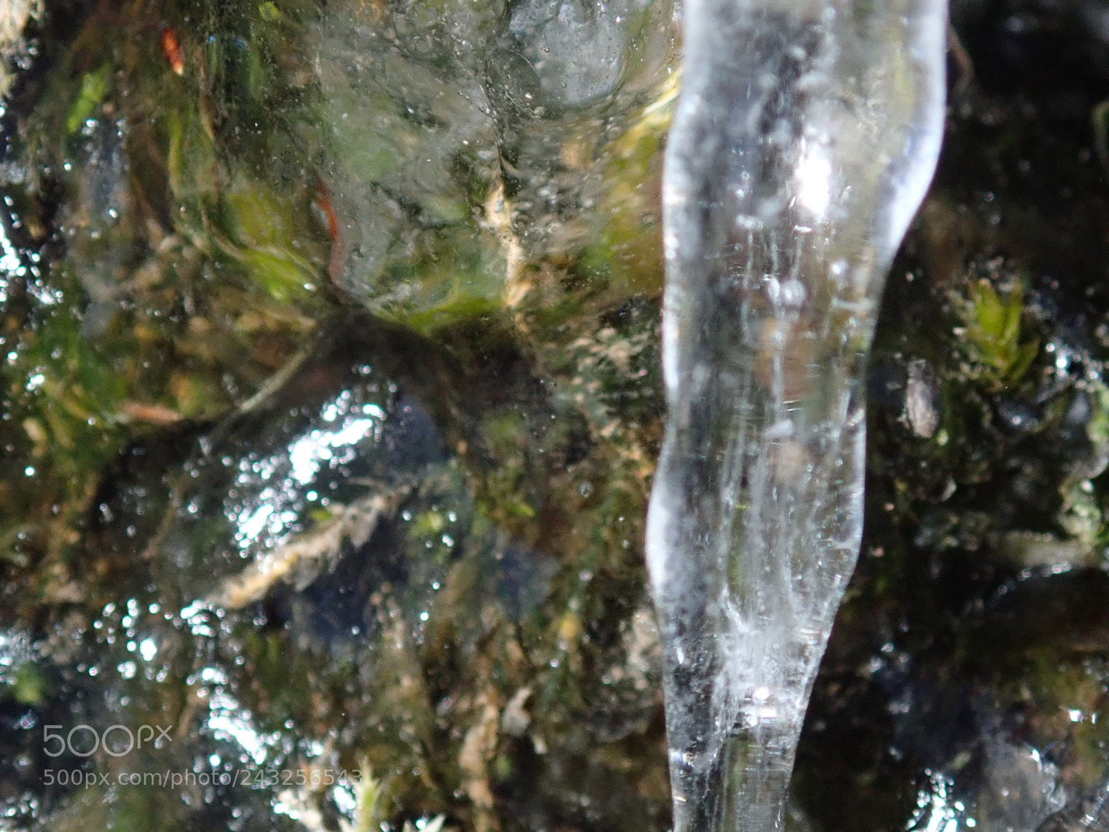 Olympus TG-5 sample photo. Untitled photography