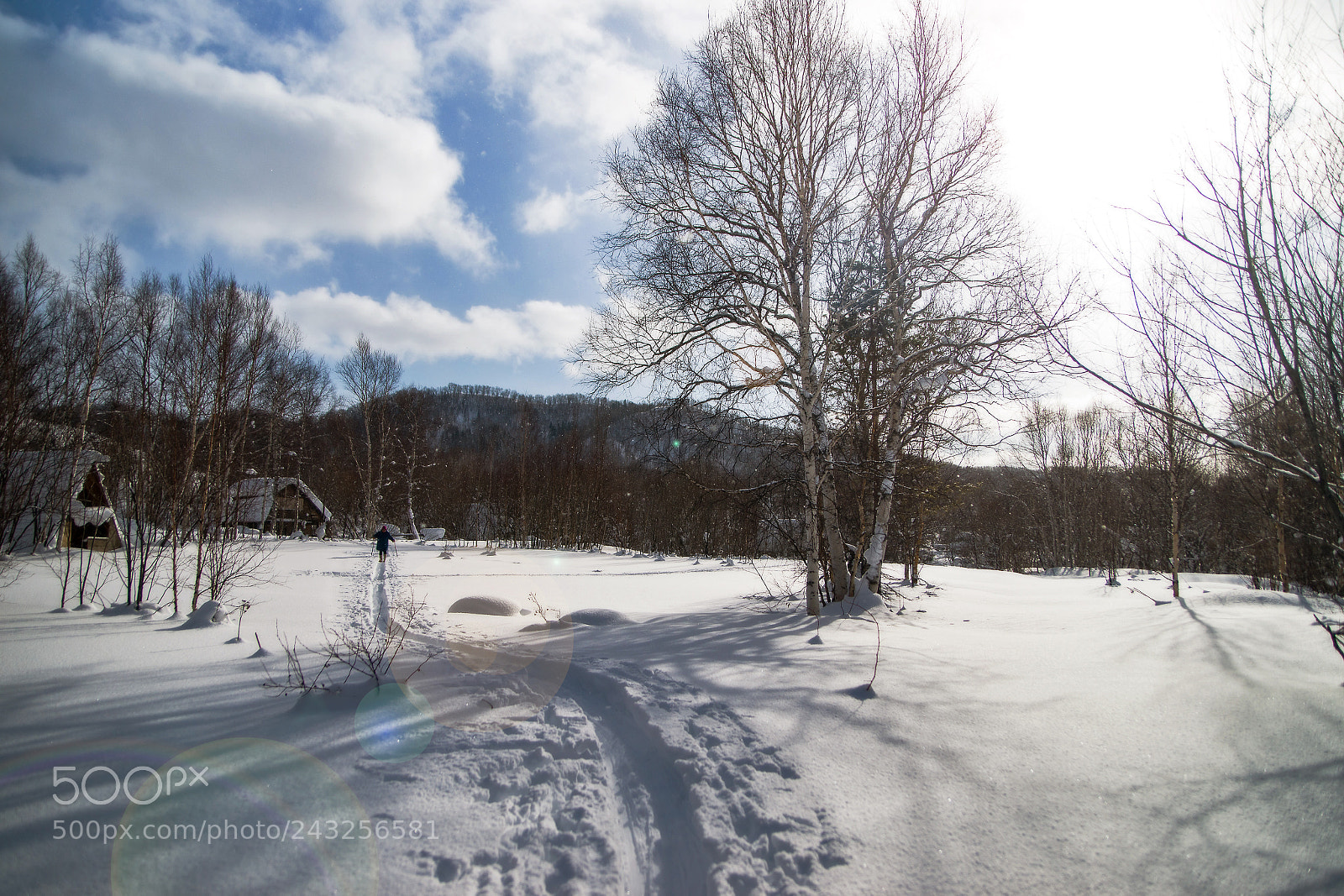 Sony Alpha DSLR-A850 sample photo. Winter morning. photography