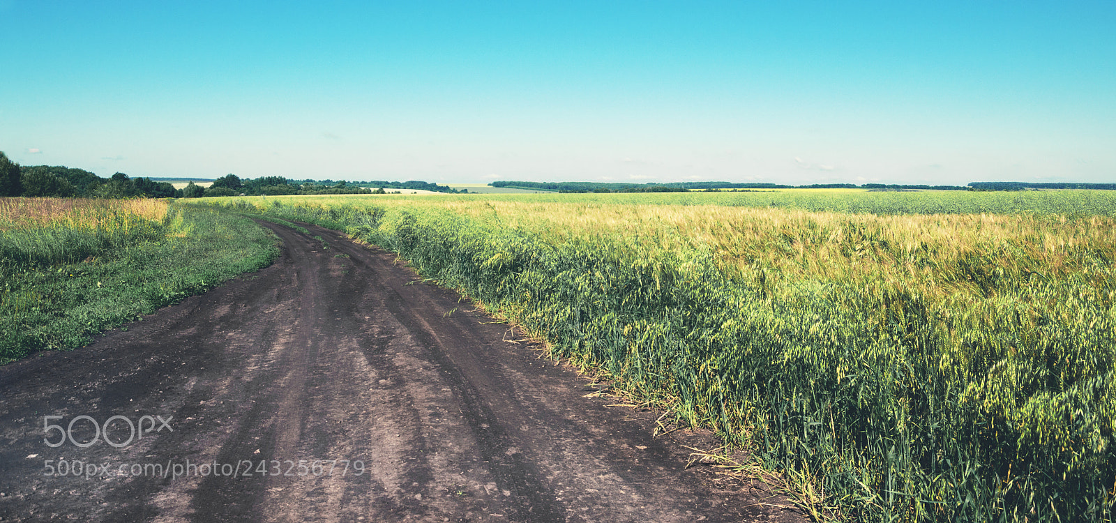 Nikon D5100 sample photo. Country road photography