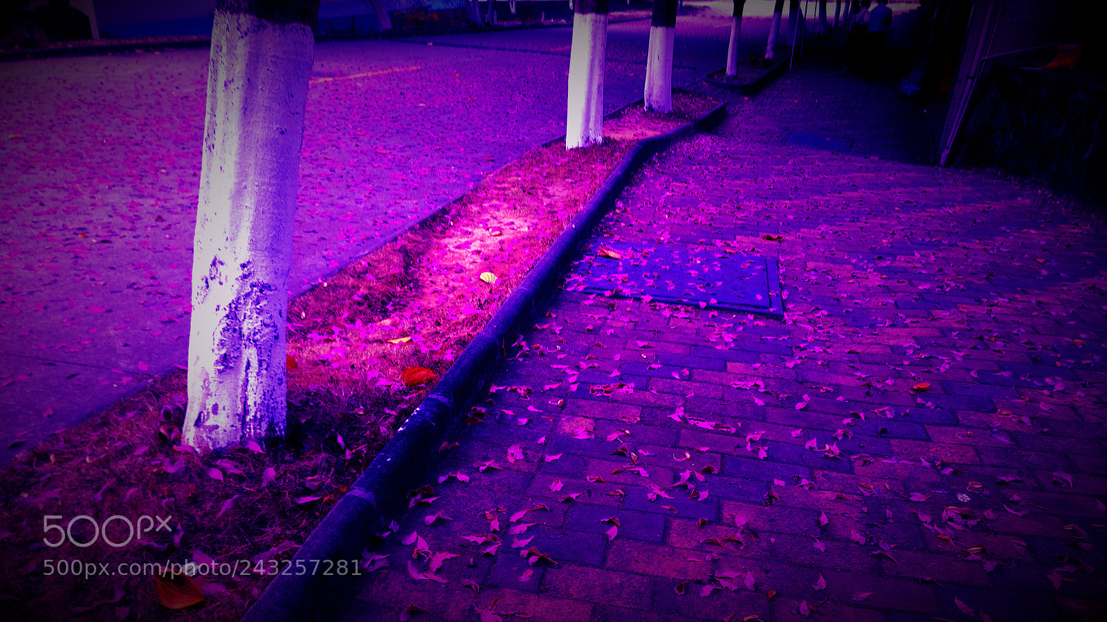 OnePlus A3010 sample photo. Untitled photography