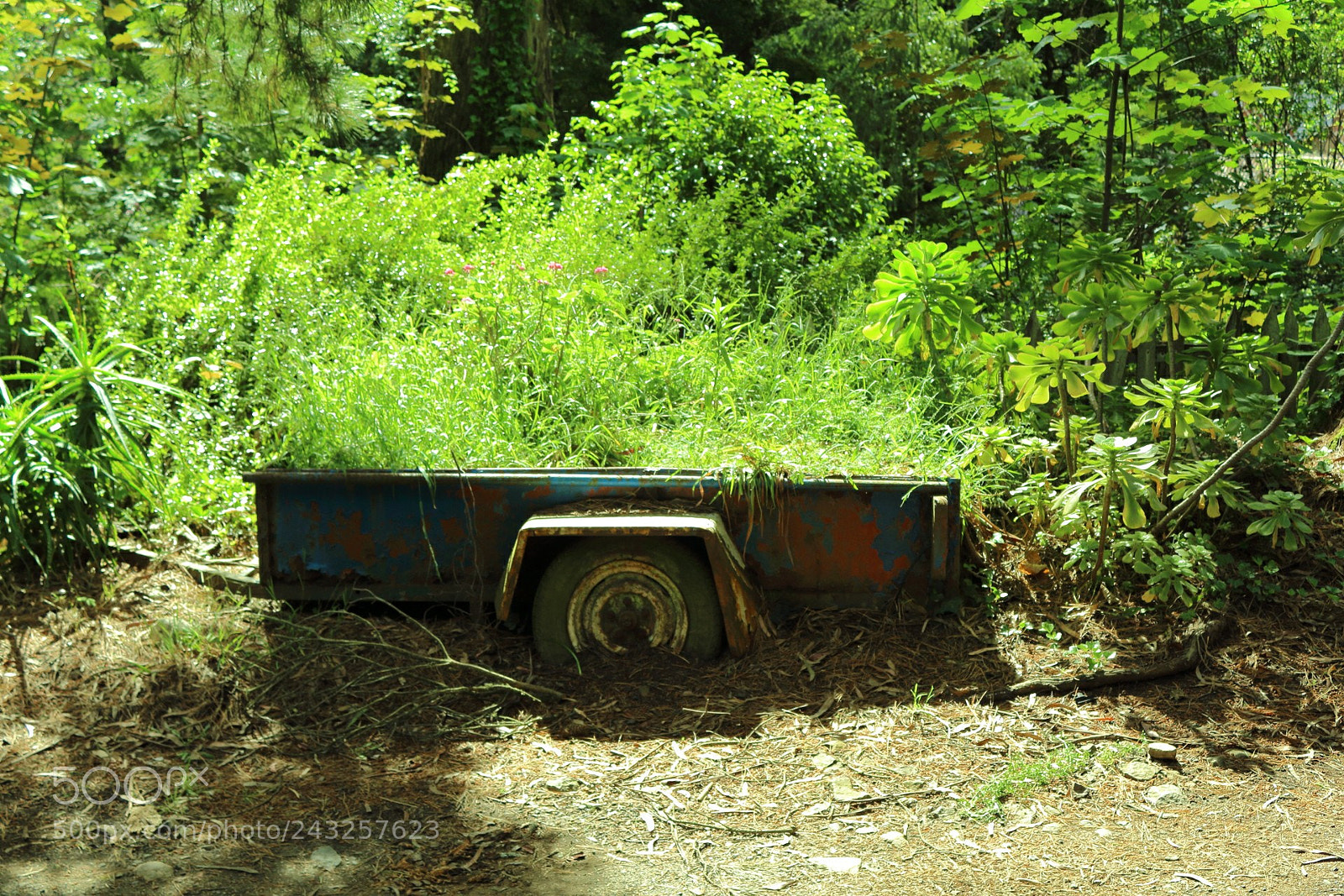 Canon EOS 650D (EOS Rebel T4i / EOS Kiss X6i) sample photo. Trailer garden photography
