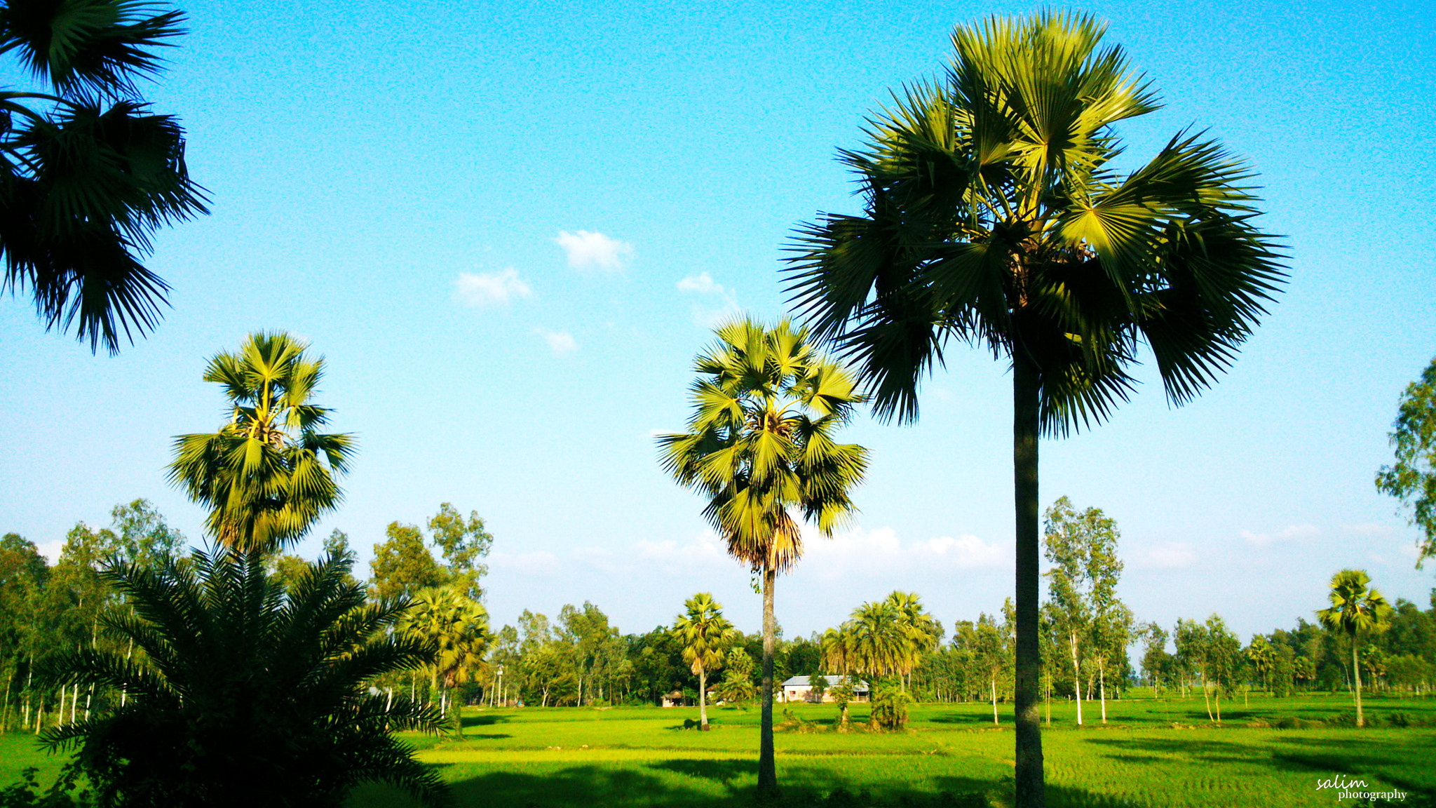 Sony Xperia P sample photo. Beautiful village photography