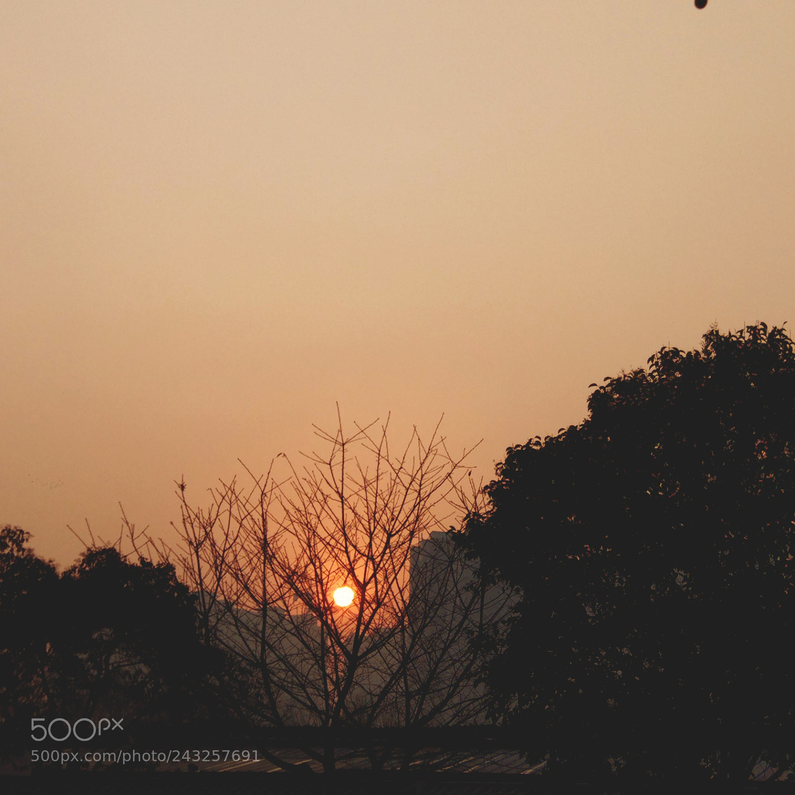 Xiaomi MI 5 sample photo. Sunset photography