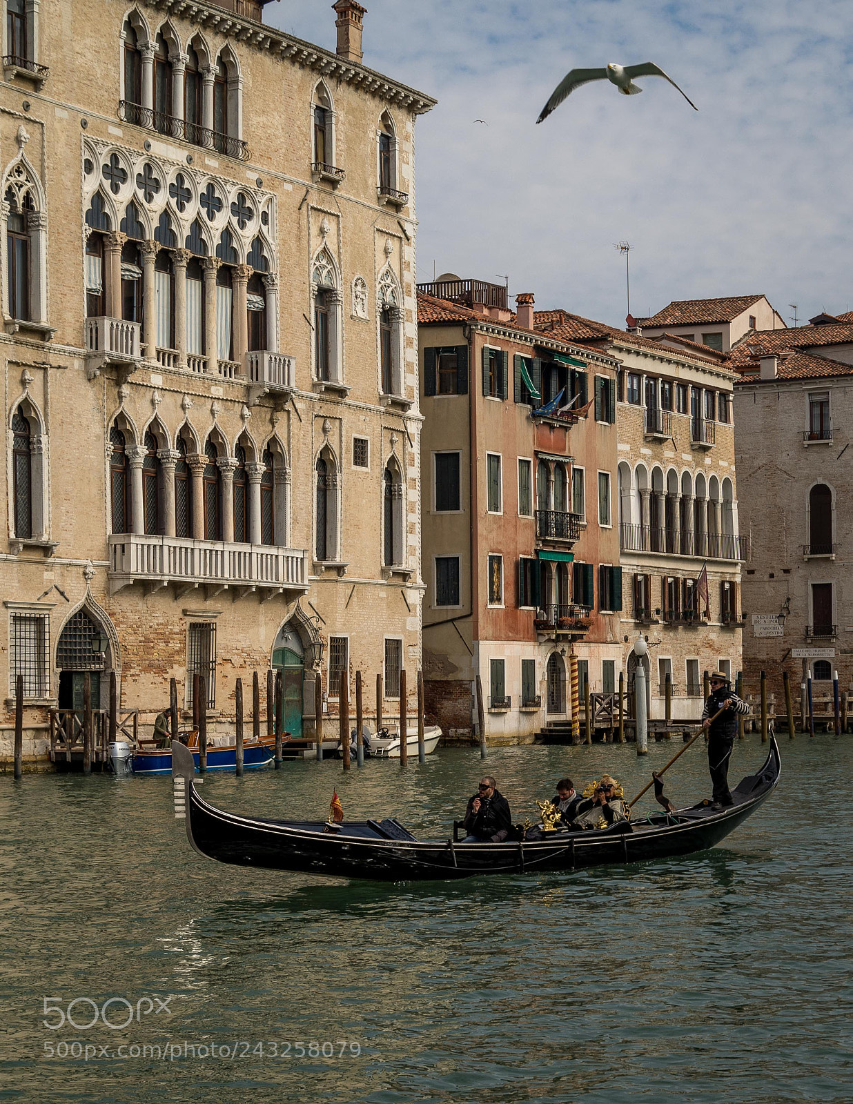 Nikon D600 sample photo. Voando sobre uma gondola photography