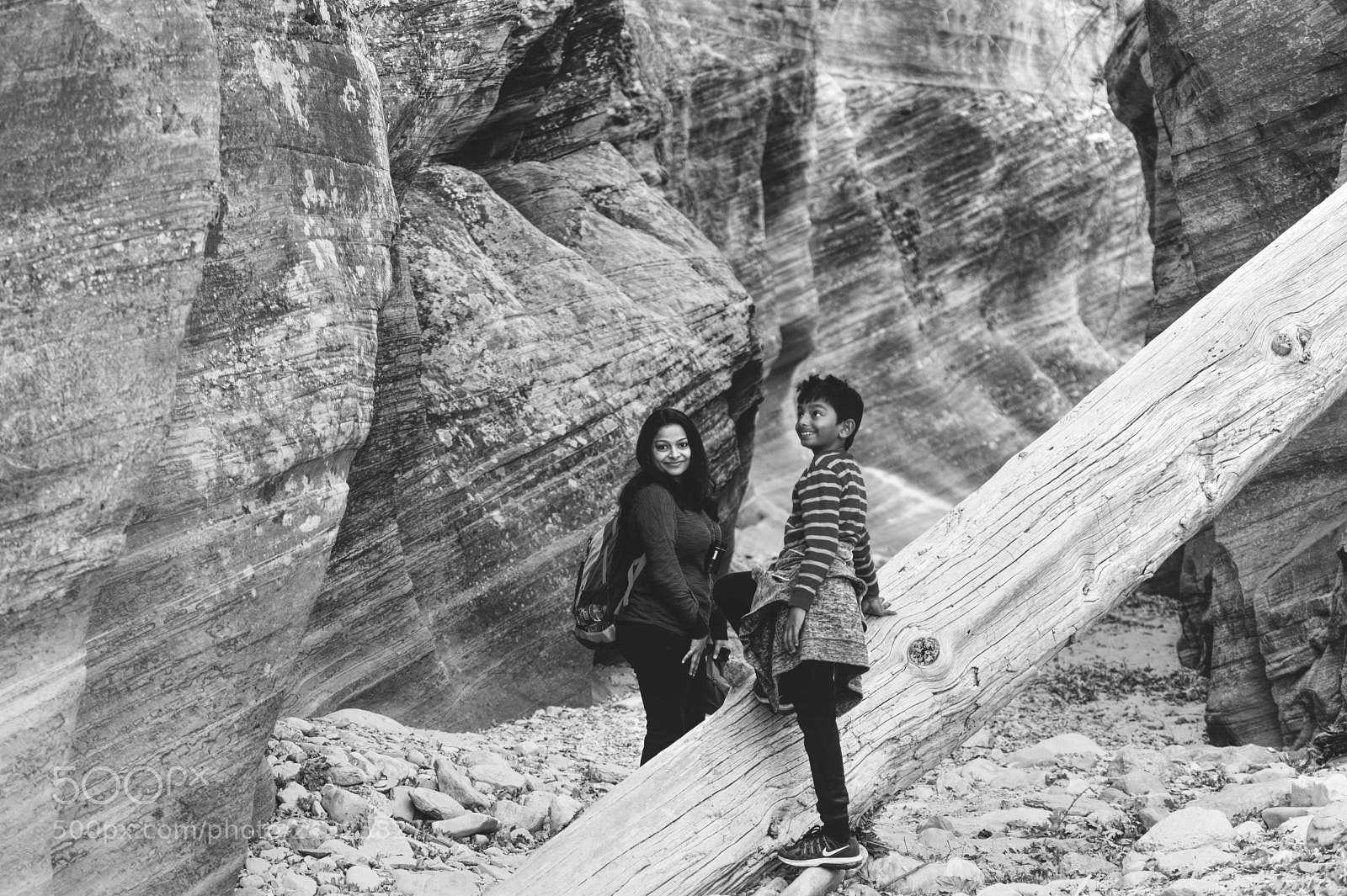 Nikon D500 sample photo. Amazing zion photography