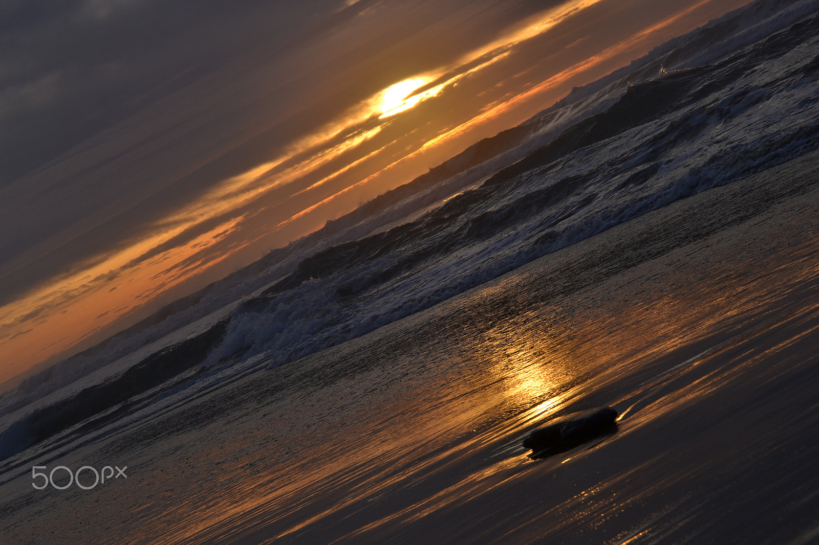 Nikon D3100 sample photo. Mdo2 photography