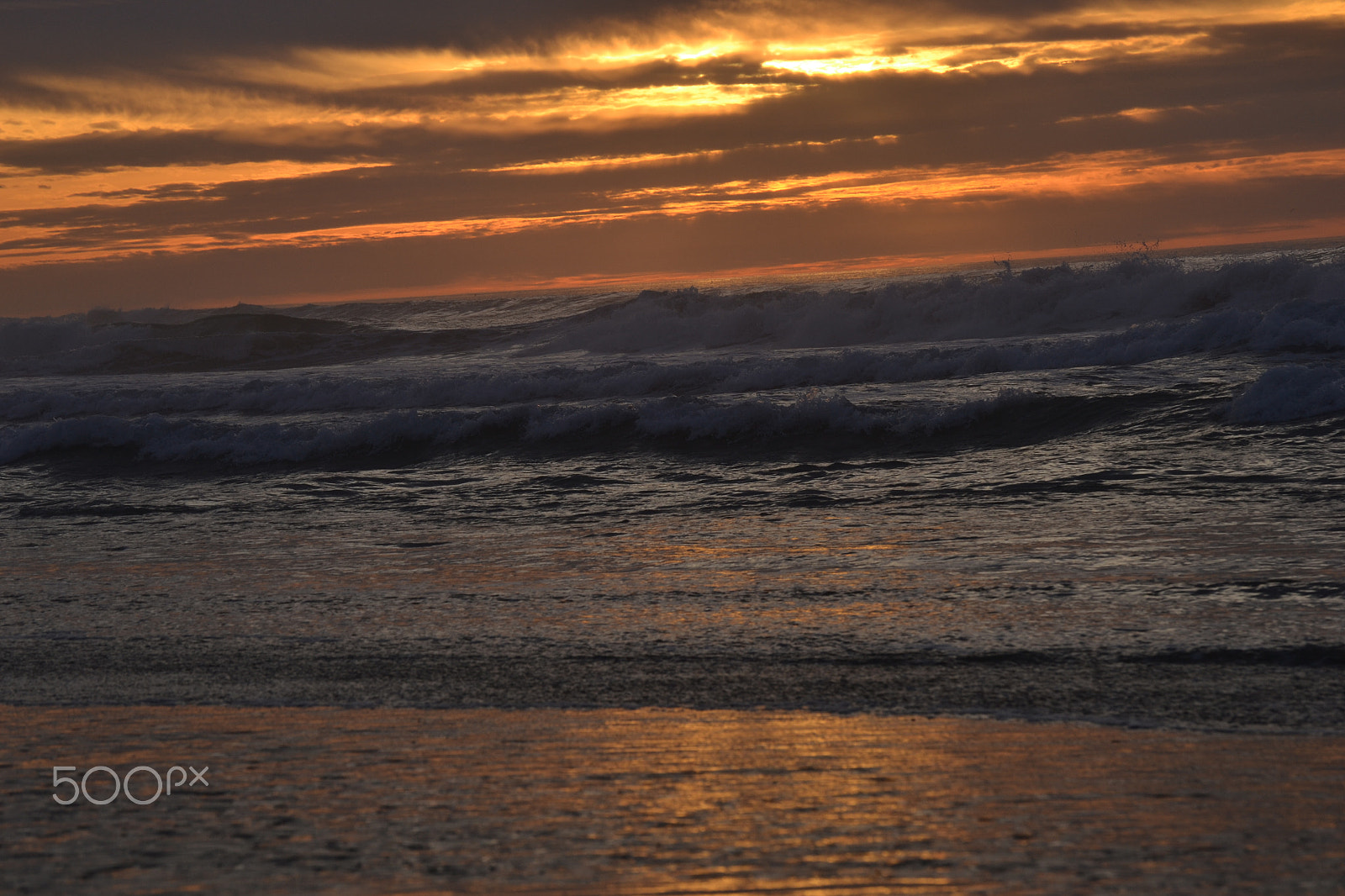 Nikon D3100 sample photo. Mdo3 photography