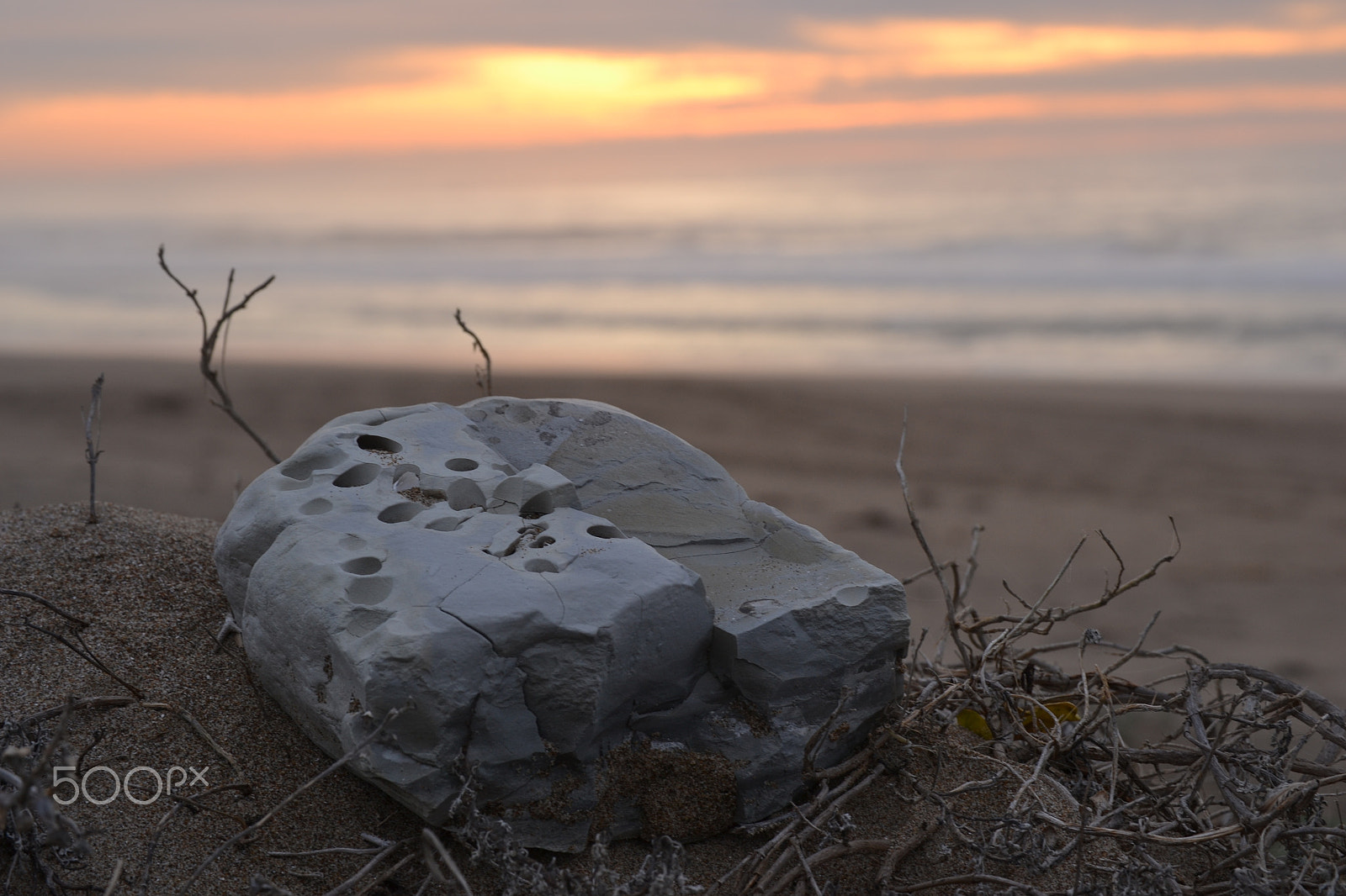 Nikon D3100 sample photo. Mdo5 photography