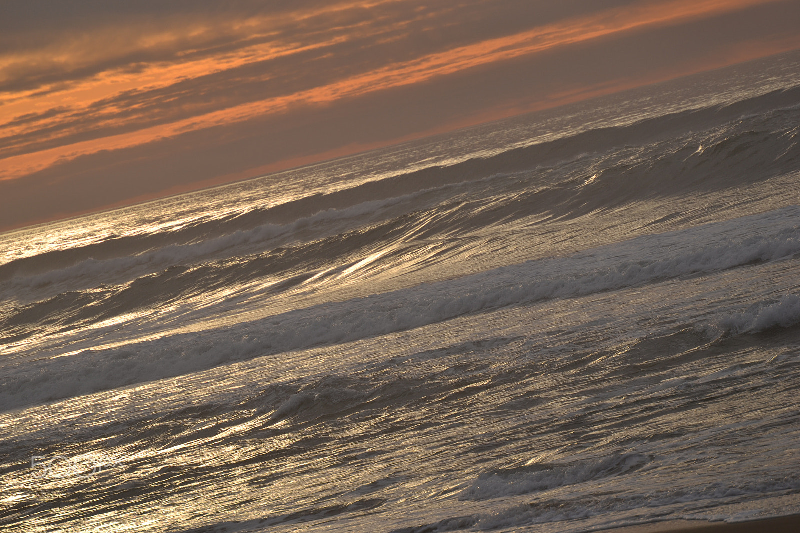 Nikon D3100 sample photo. Mdo4 photography
