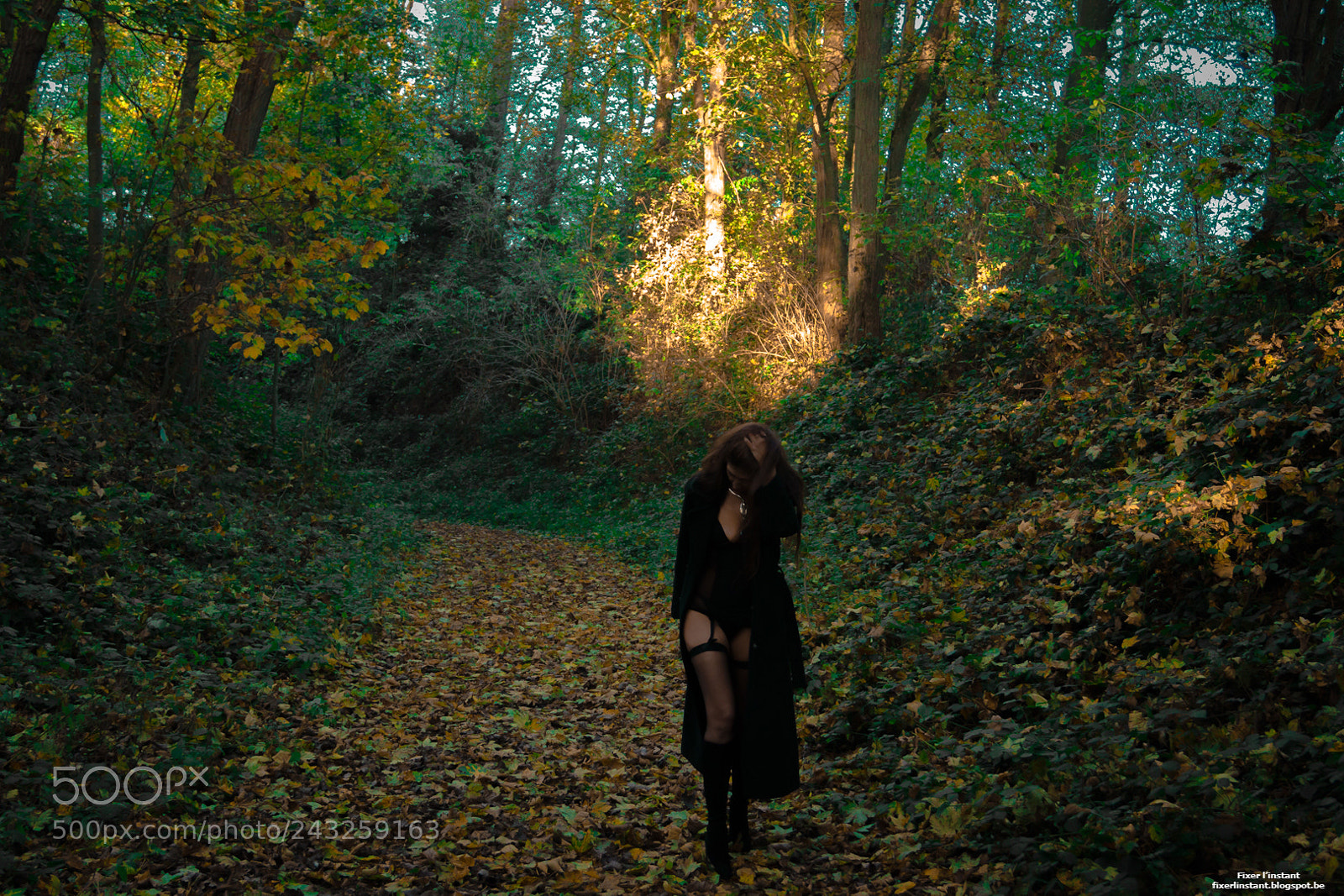 Sony SLT-A68 sample photo. Balade dans les bois ... photography