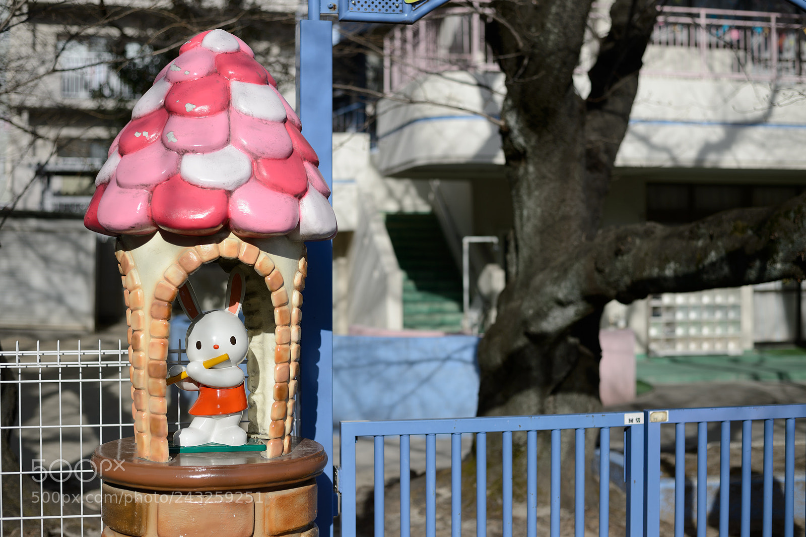 Nikon Df sample photo. Rabbit photography