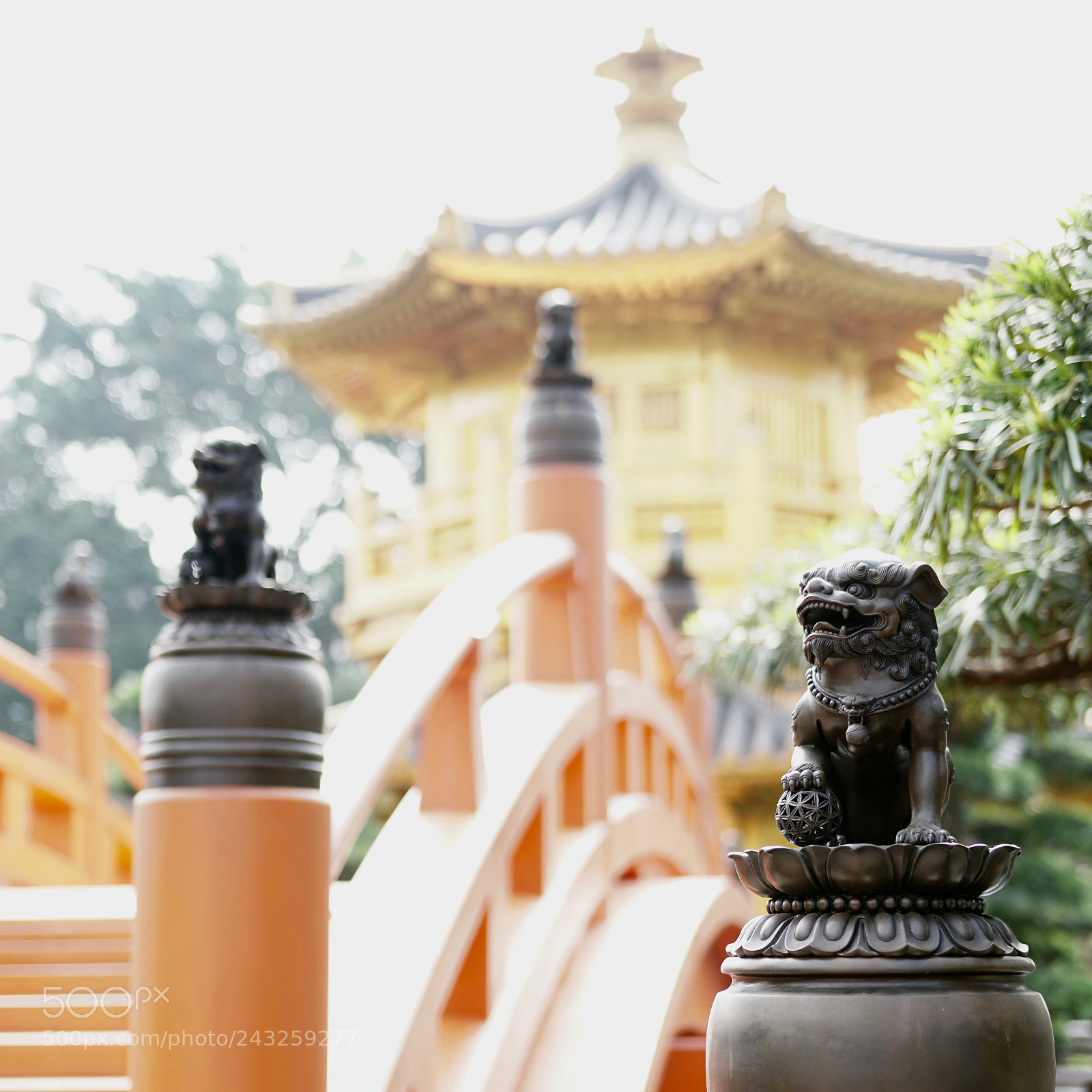 Sony a6300 sample photo. Dsc photography