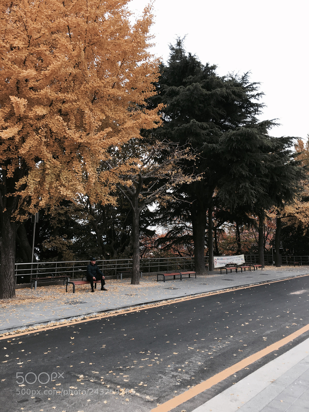 Apple iPhone 6s sample photo. Alone photography