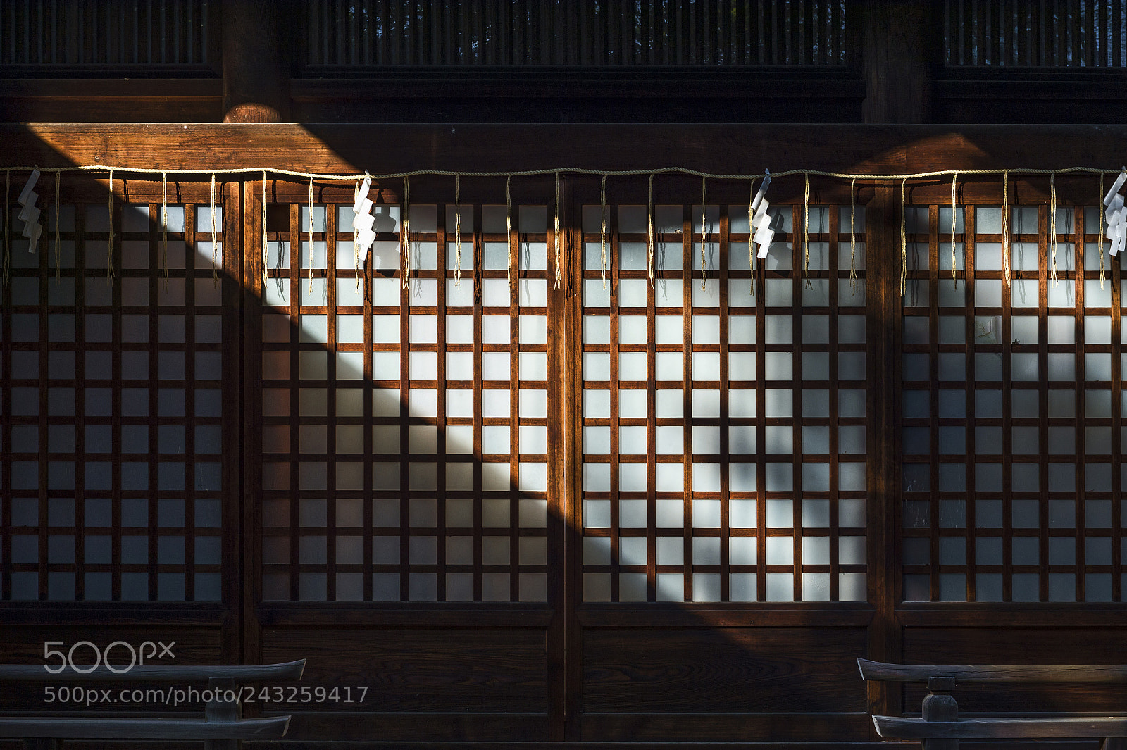 Nikon D4 sample photo. 近江神宮 photography