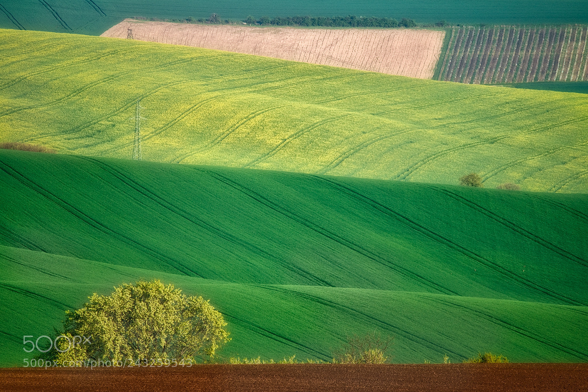 Nikon D5500 sample photo. Moravian landscape  photography