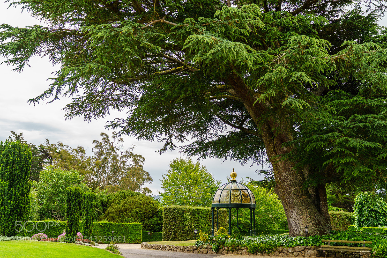 Sony a9 sample photo. Larnach castle photography