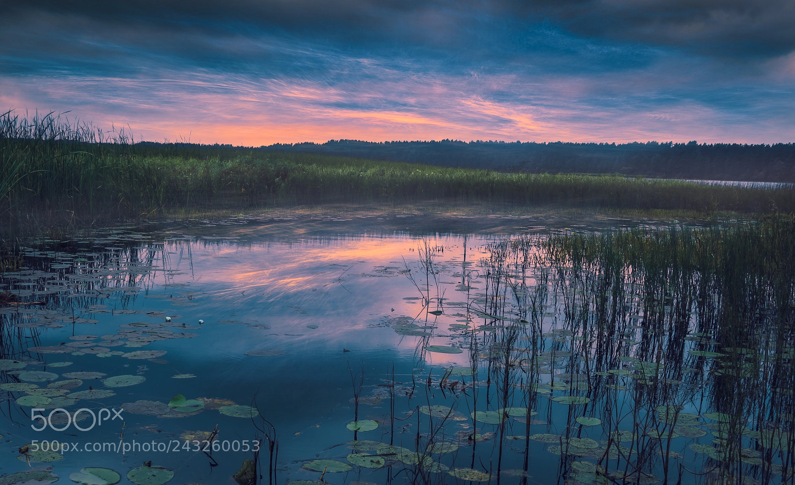 Olympus OM-D E-M5 II sample photo. At sunrise photography