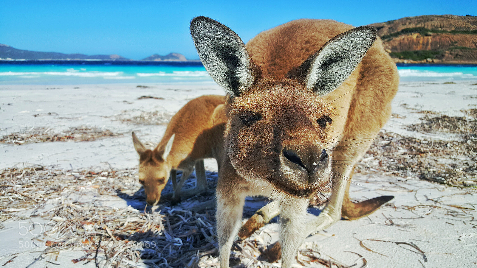 Samsung Galaxy S6 sample photo. Western australia photography