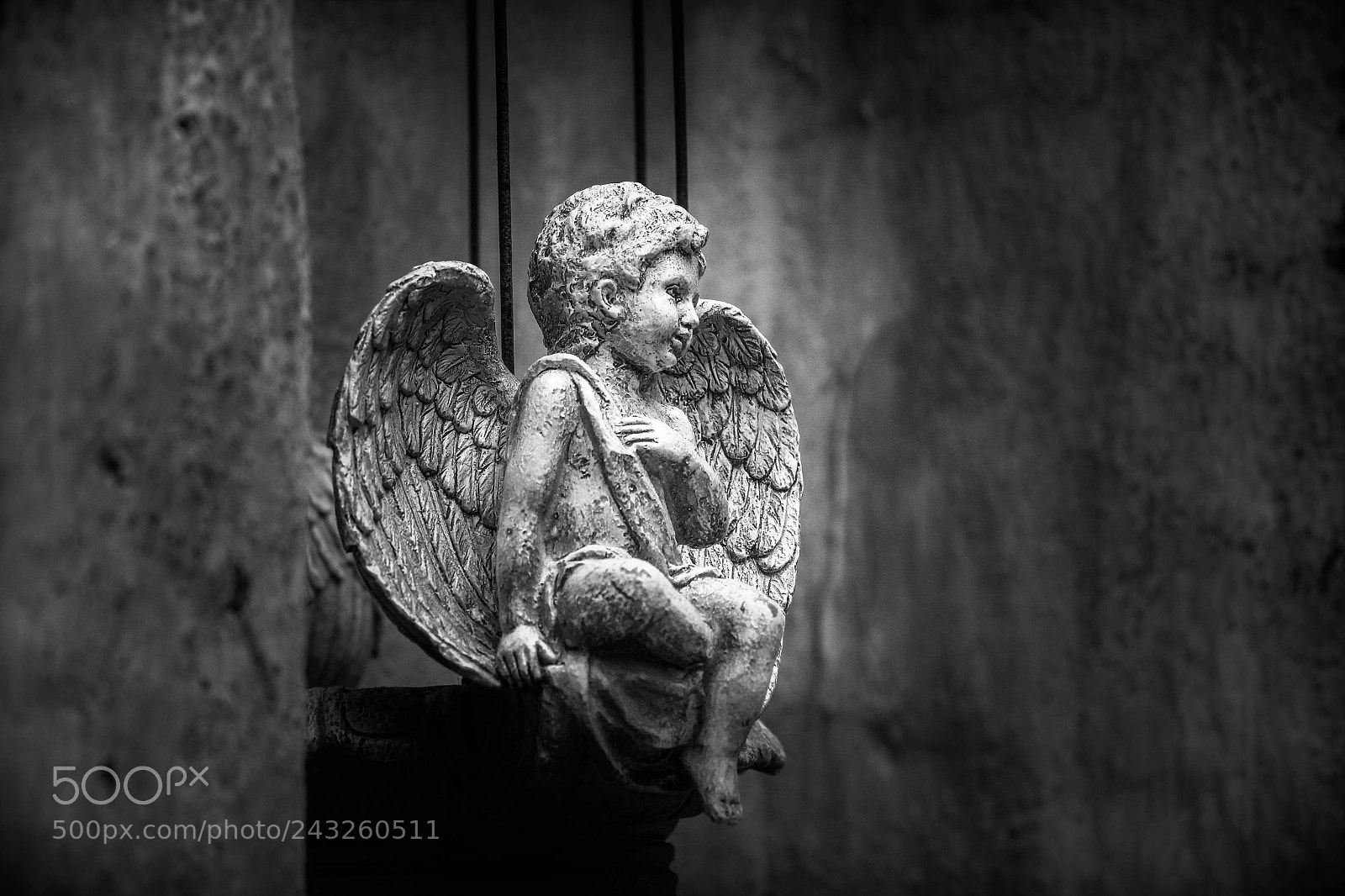 Canon EOS 550D (EOS Rebel T2i / EOS Kiss X4) sample photo. Angel at mission san photography
