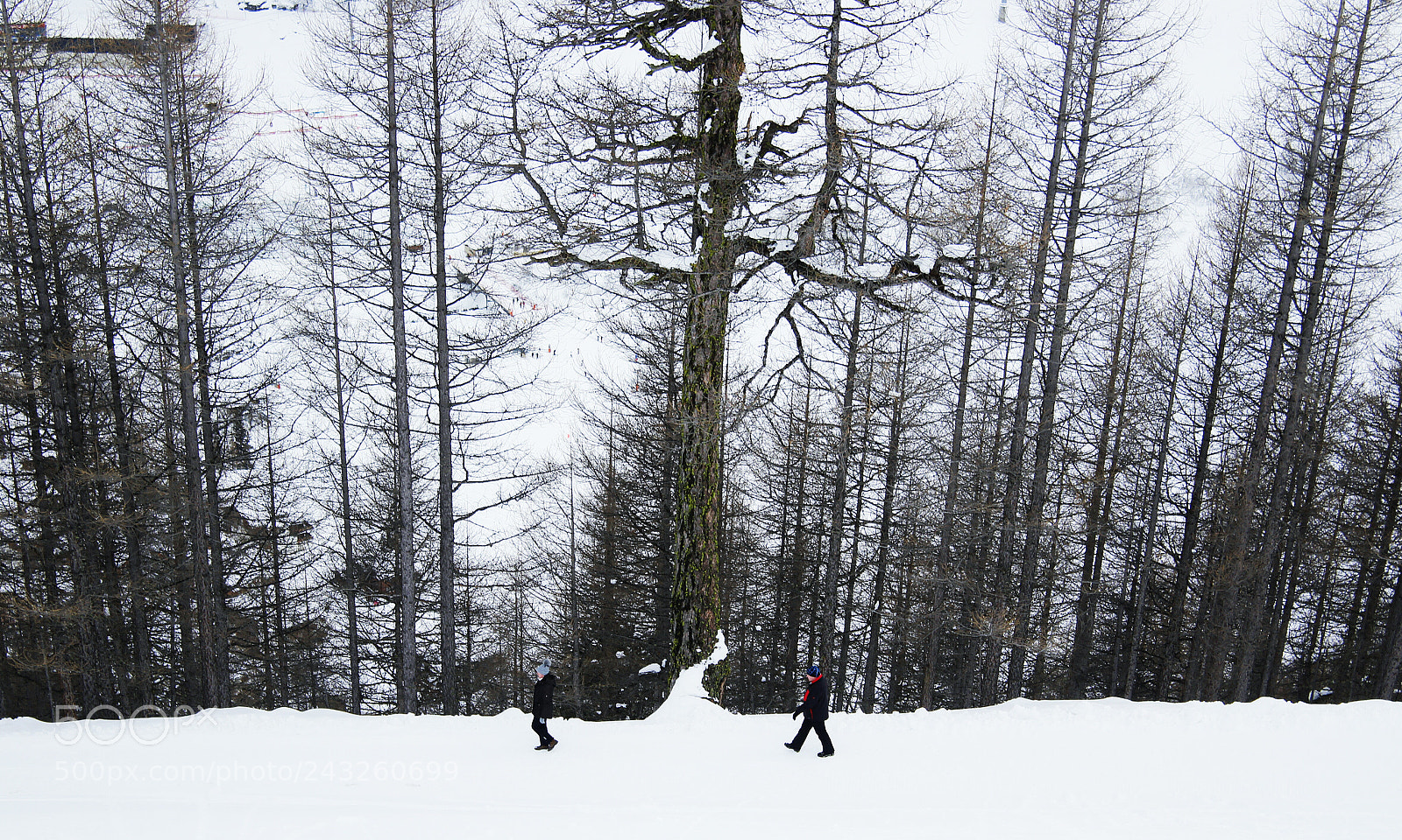 Canon EOS 1200D (EOS Rebel T5 / EOS Kiss X70 / EOS Hi) sample photo. Snowy couple photography