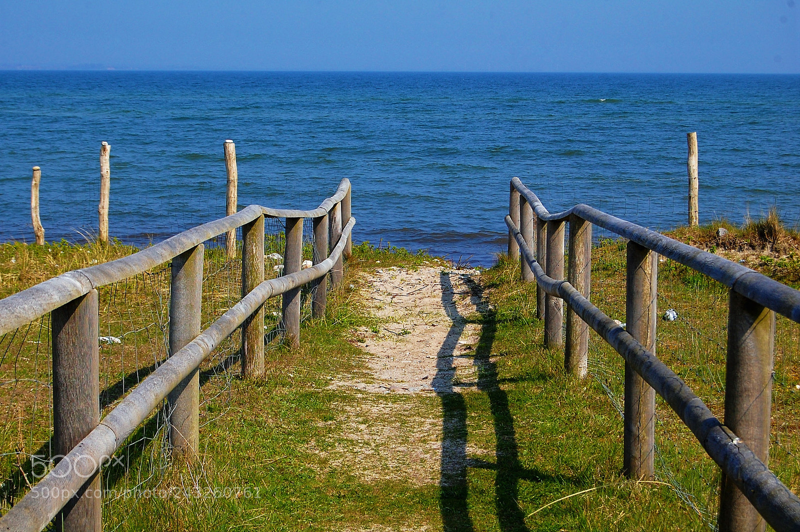 Nikon D40 sample photo. Way to the sea photography