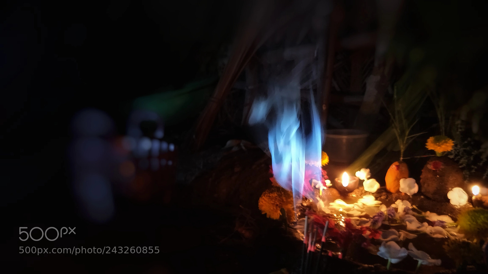 OnePlus 5 sample photo. Maattu pongal photography