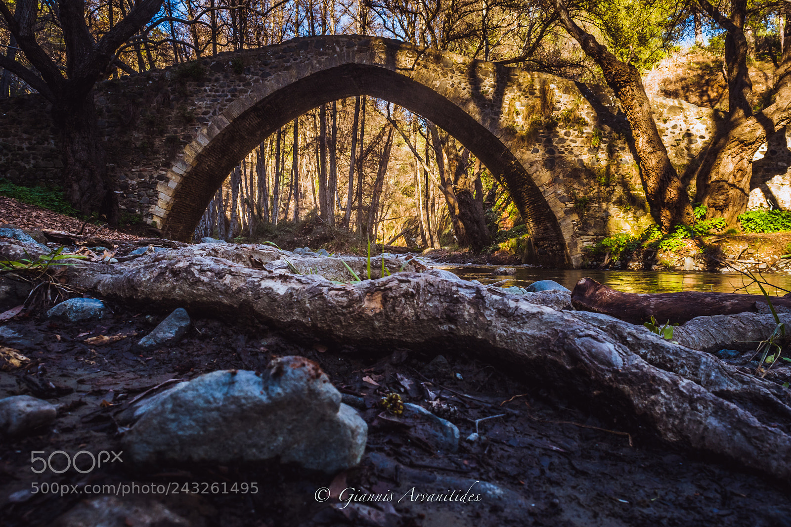 Nikon D7500 sample photo. Tzelefos bridge photography