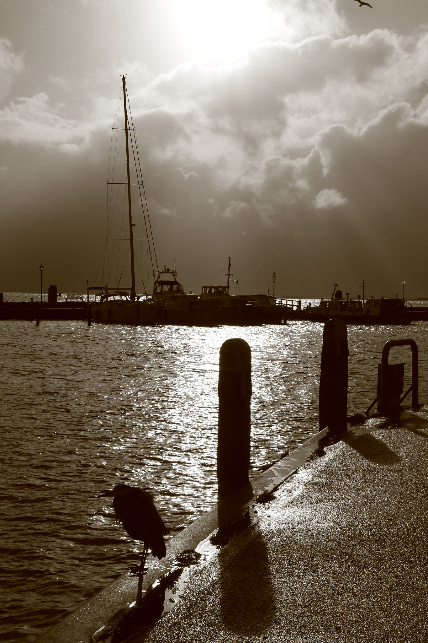 Canon EOS 1200D (EOS Rebel T5 / EOS Kiss X70 / EOS Hi) sample photo. Volendam photography