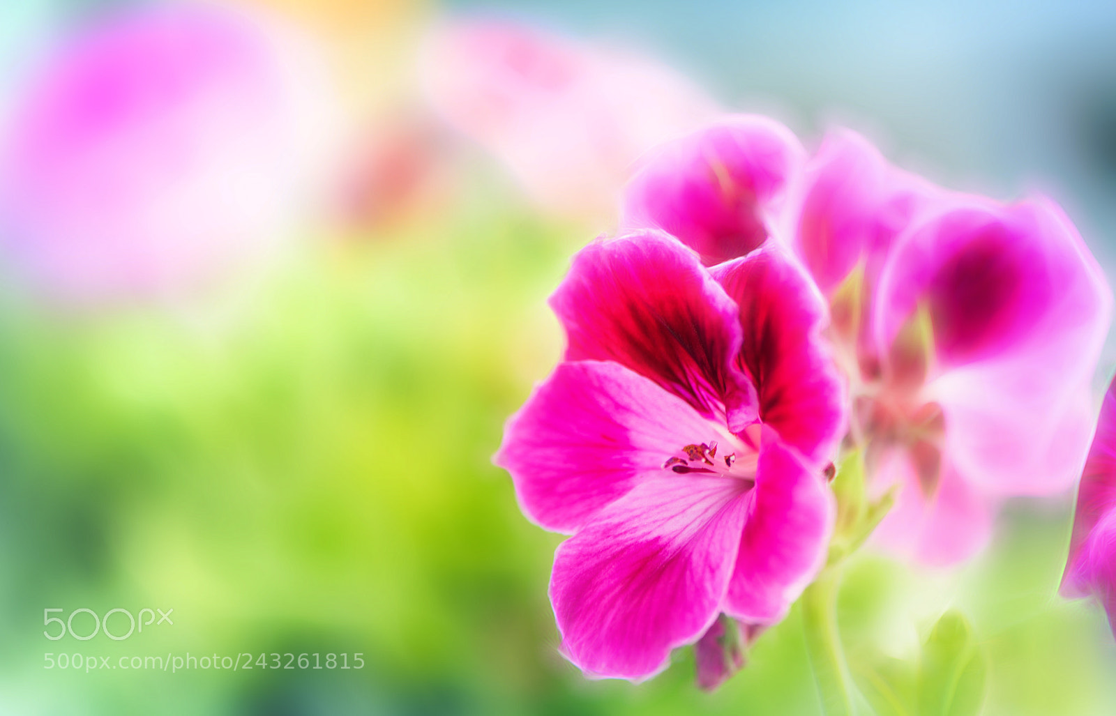 Nikon D810 sample photo. Fresh ... photography
