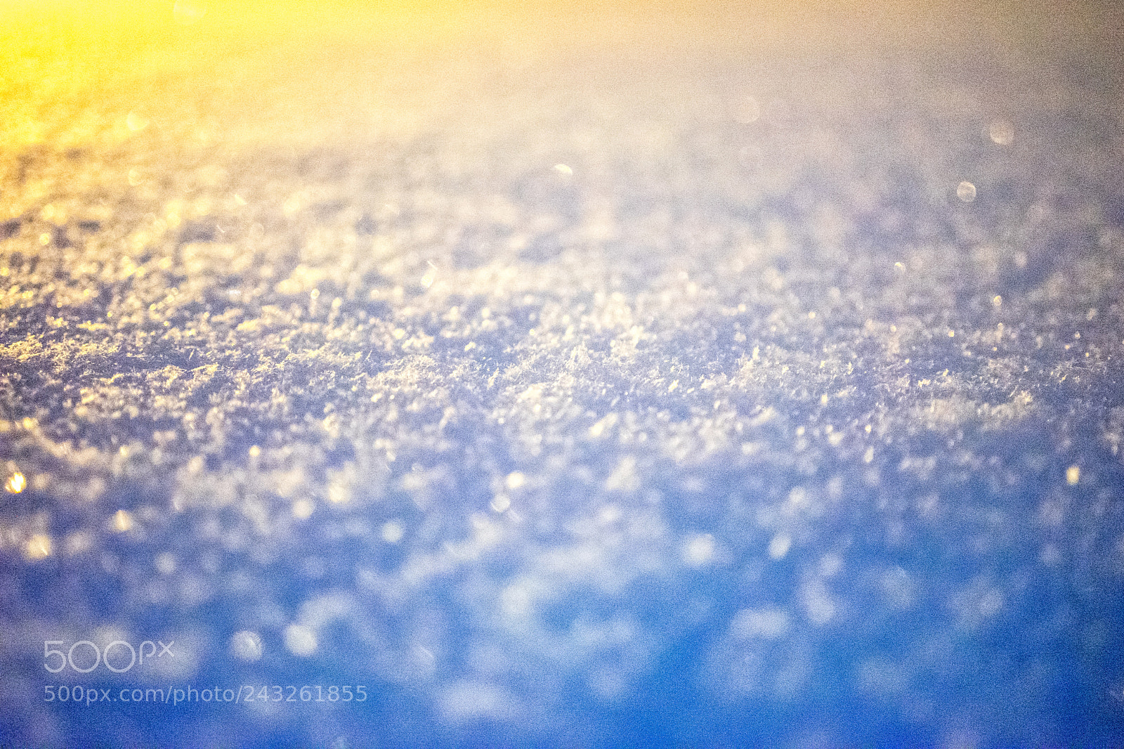 Sony a7 II sample photo. 018/365: cold snow, warm light photography