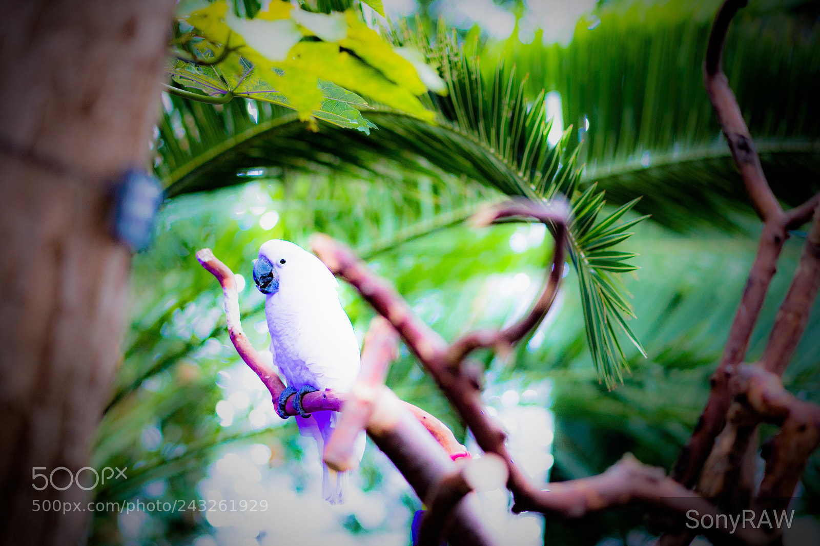 Sony a6500 sample photo. Another day in paradise photography