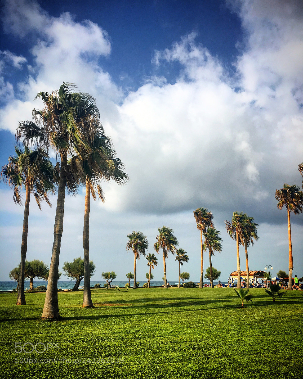 Apple iPhone 6s sample photo. #palmtree #greece photography