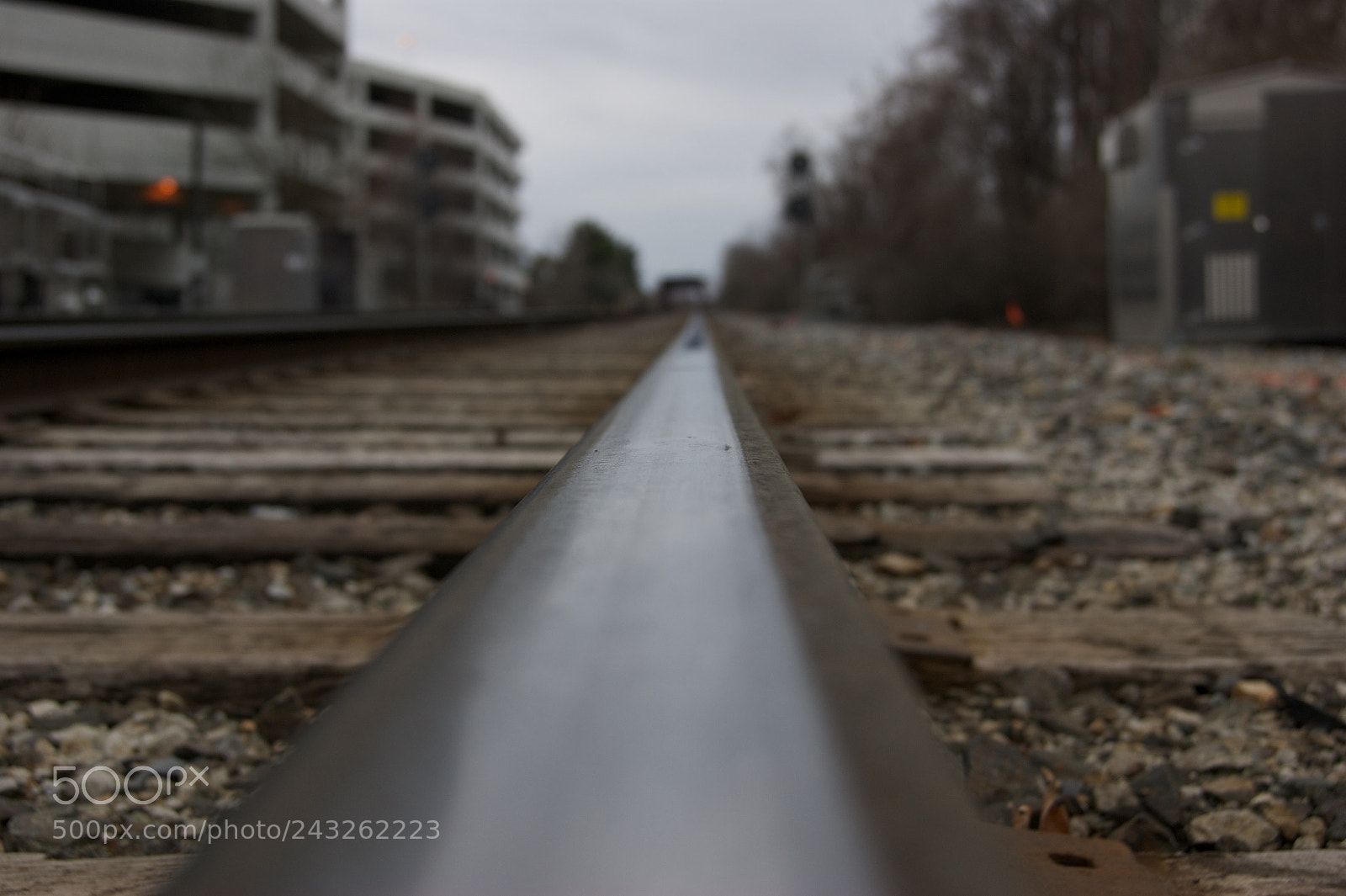 Sony Alpha DSLR-A290 sample photo. Train rails photography