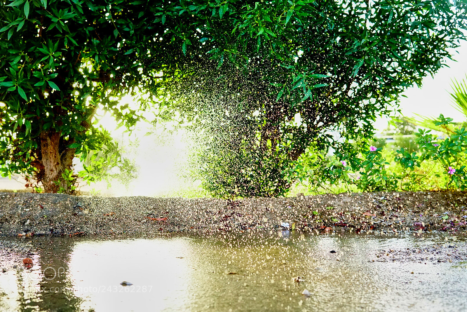 Sony a6500 sample photo. Water spread photography