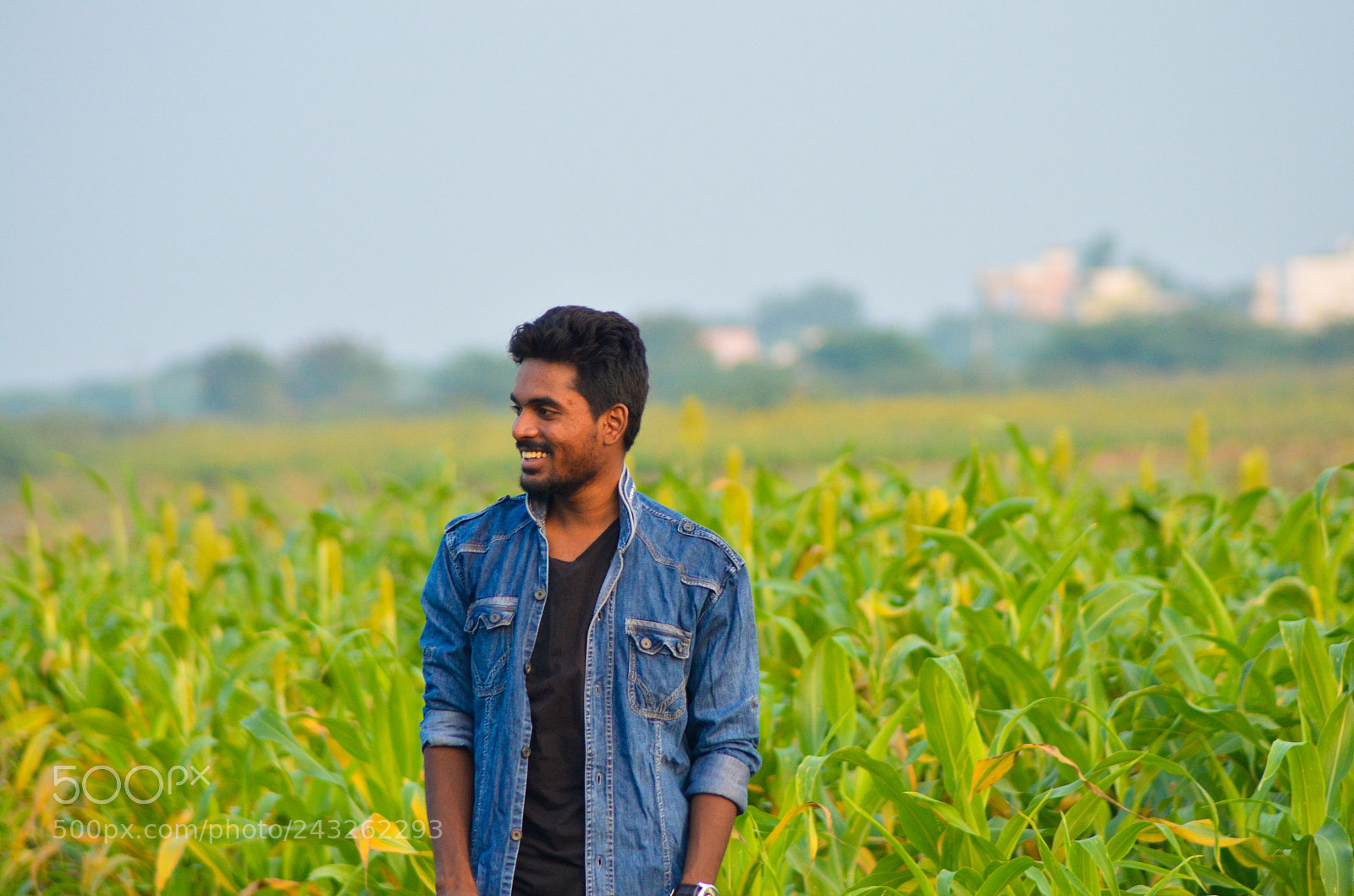 Nikon D5100 sample photo. Untitled photography